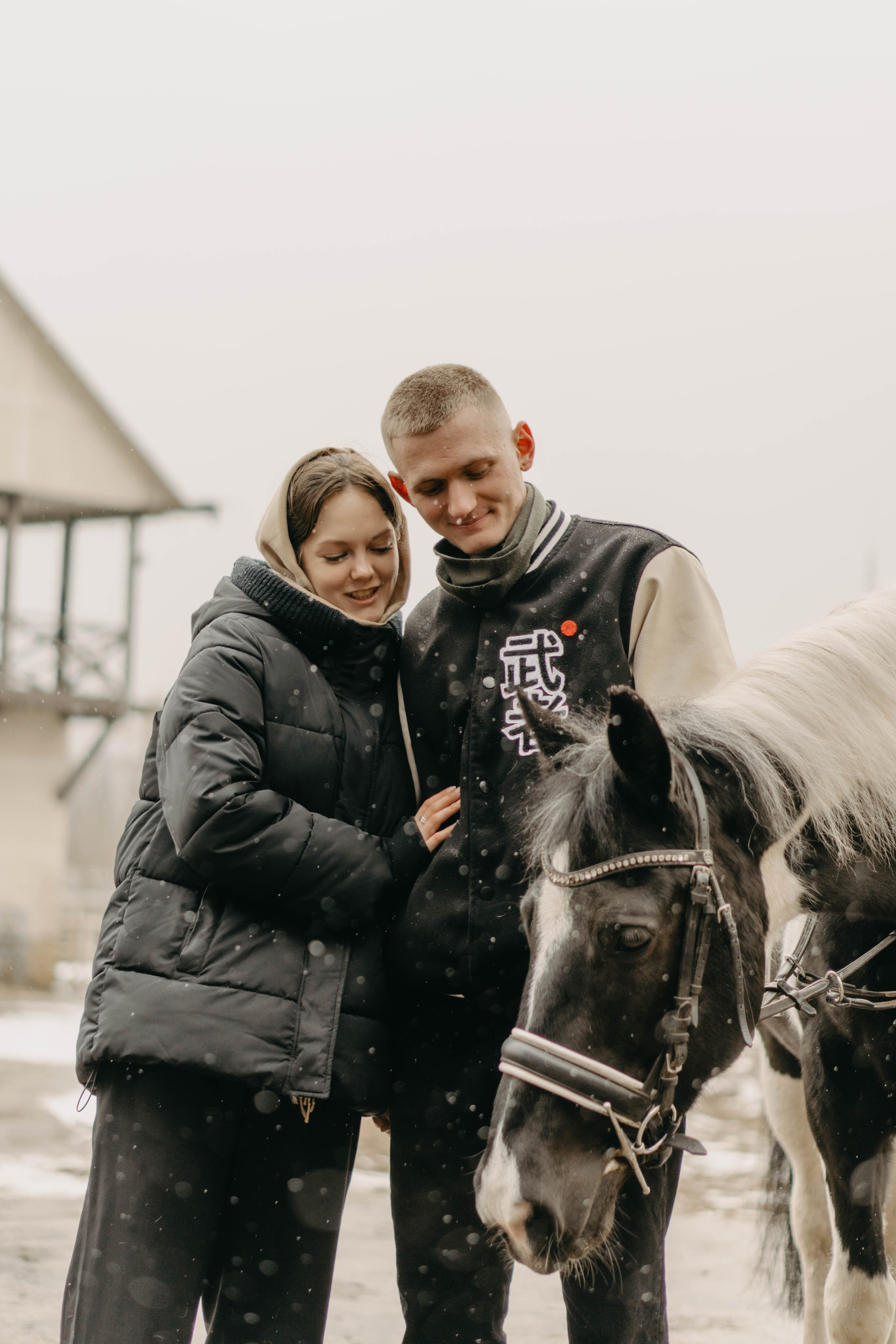 Конная прогулка. Фотограф Москва Валерия Веденина