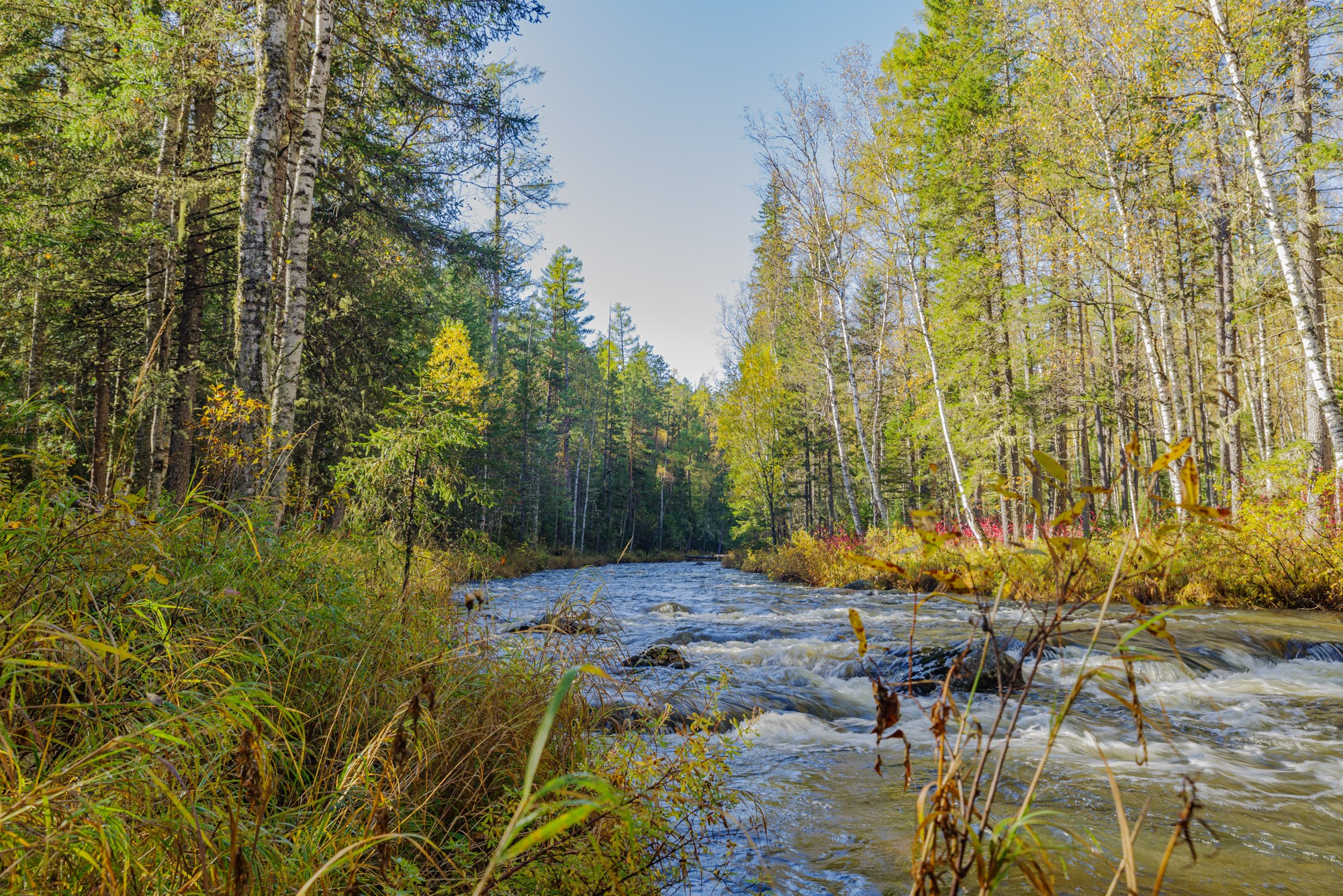 Пейзажи. Семейный и свадебный фотограф в Иркутске Максим Жигалов