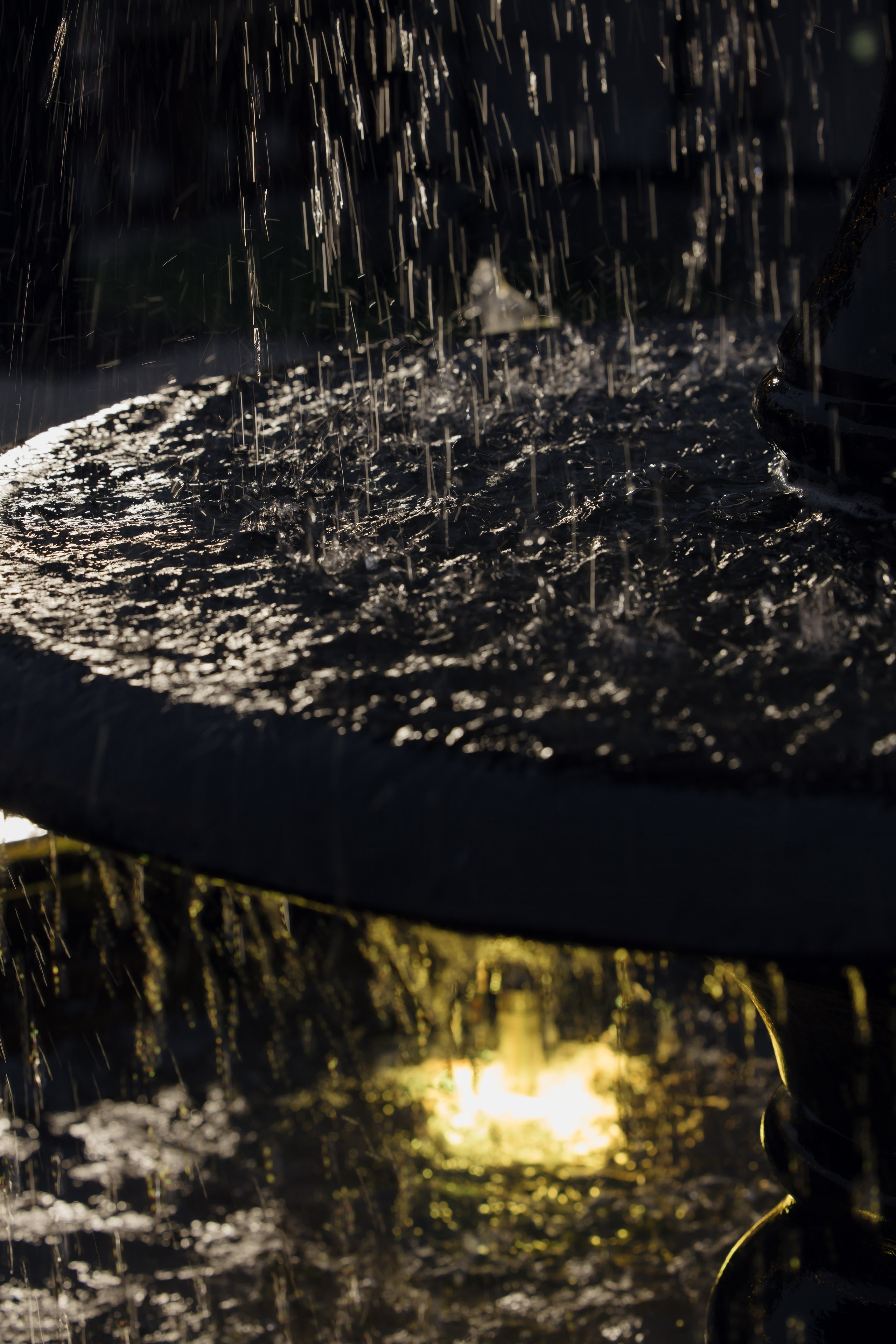 Мы набрали нужную высоту. Фотограф в Нижнем Новгороде| Шоронова Снежана