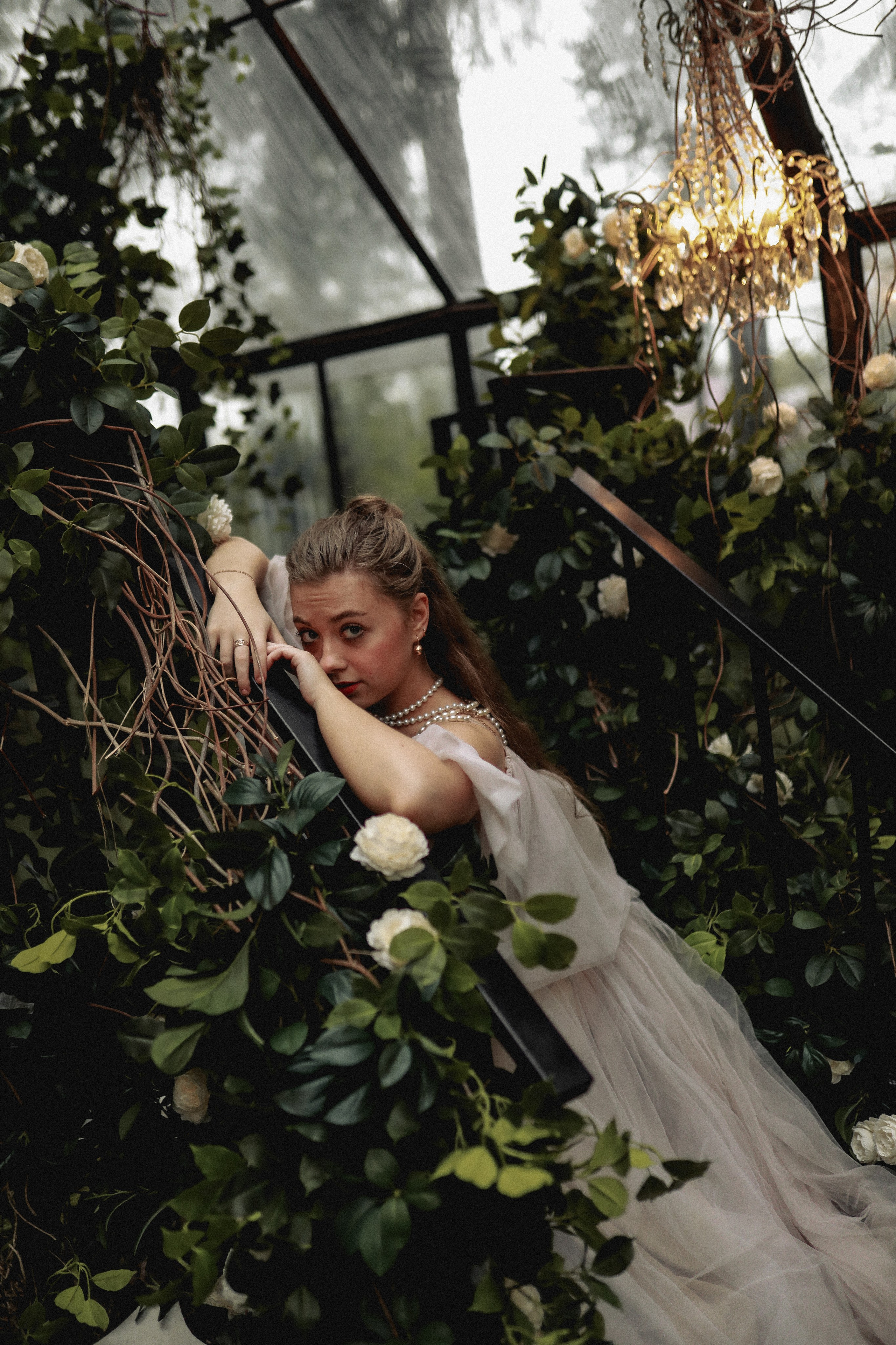 Зачарованный лес