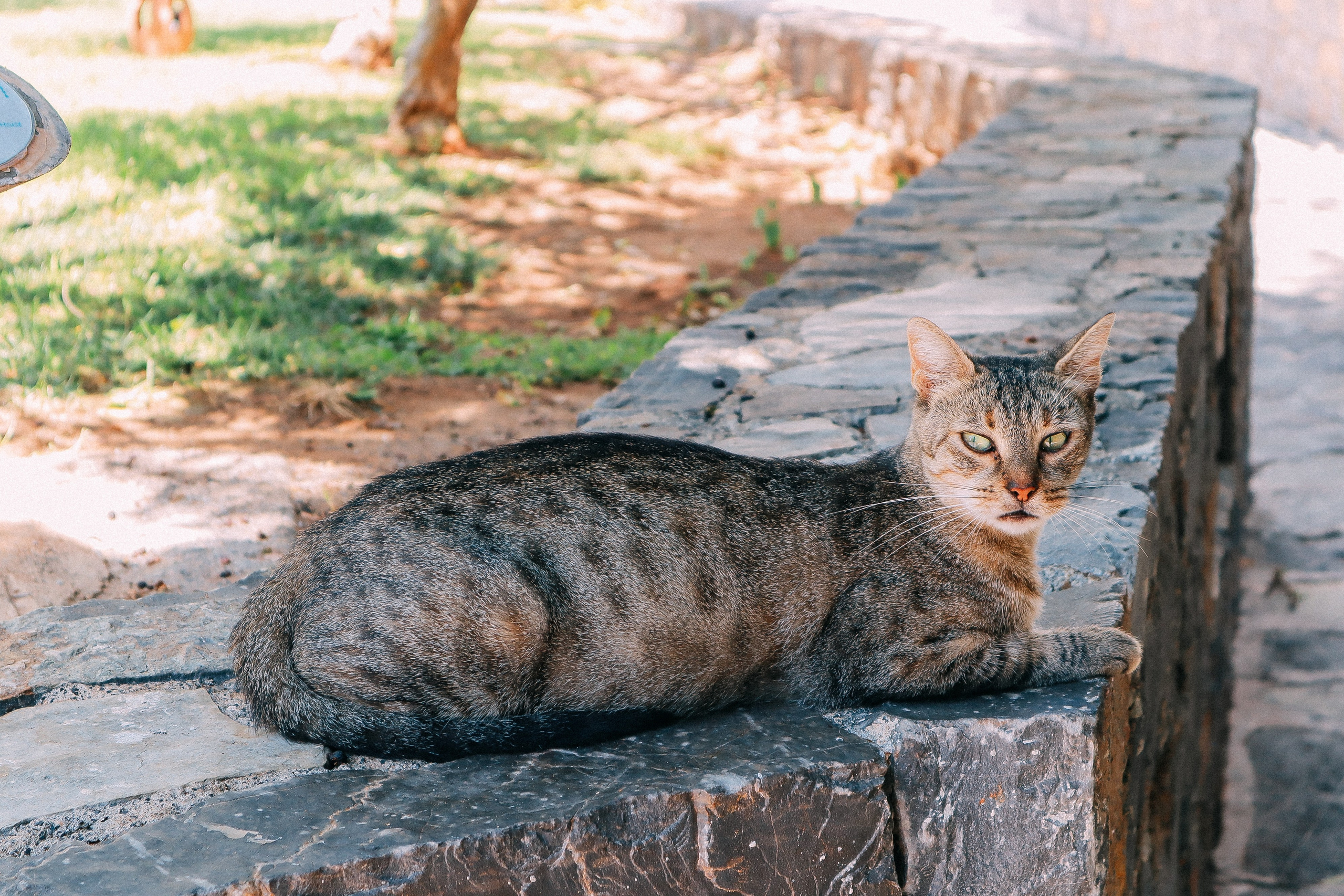 Крит. Аня Степанова