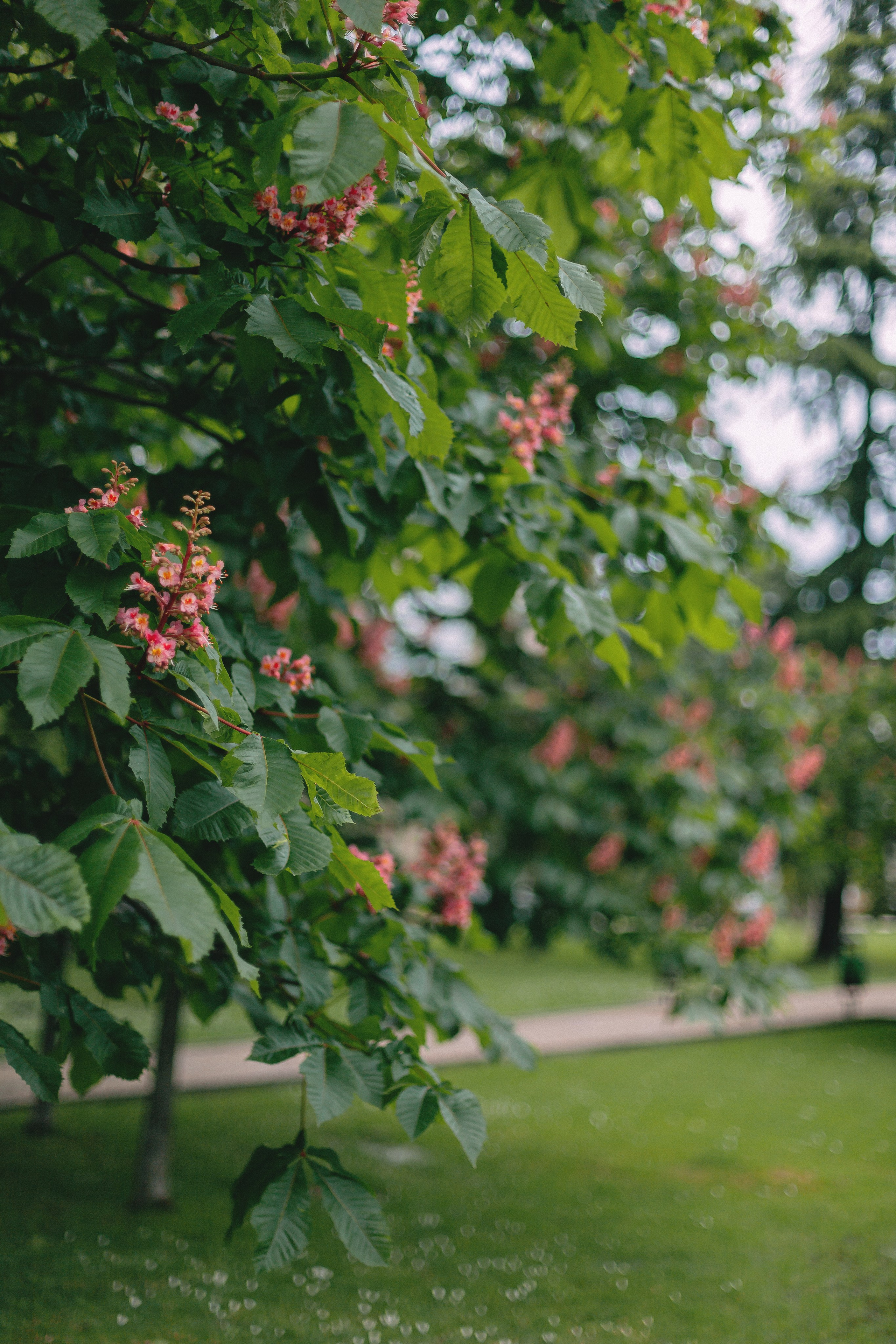 Сочи. Аня Степанова