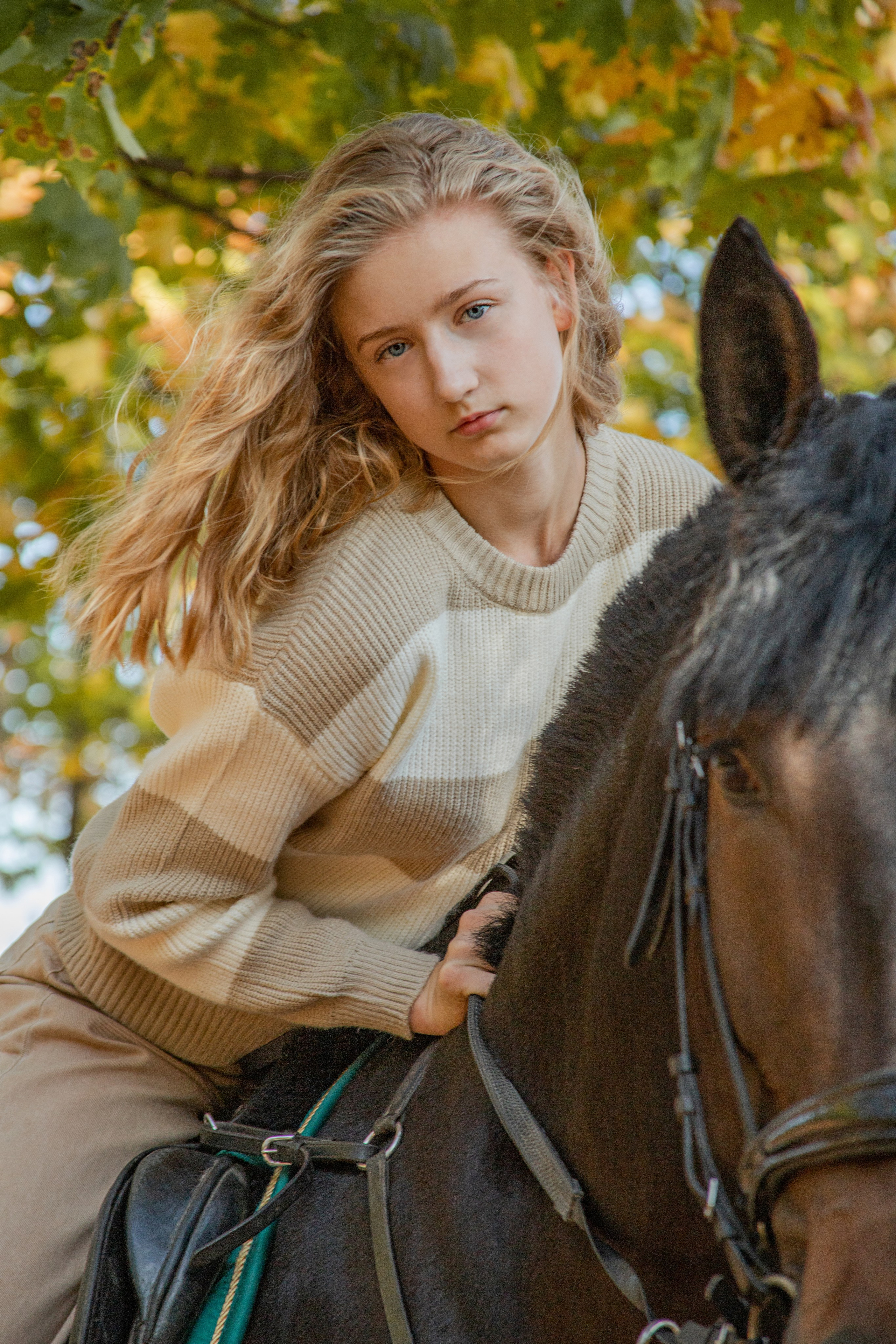 Фотосессии с лошадьми. Фотосессии с лошадьми в Москве и МО