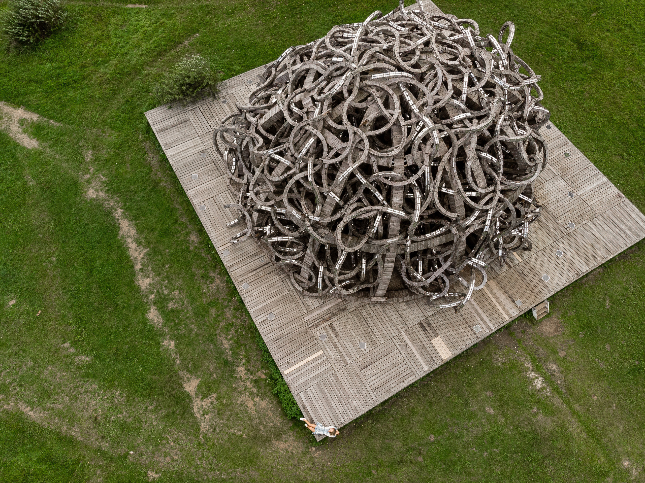 Индивидуальная. PROmedia