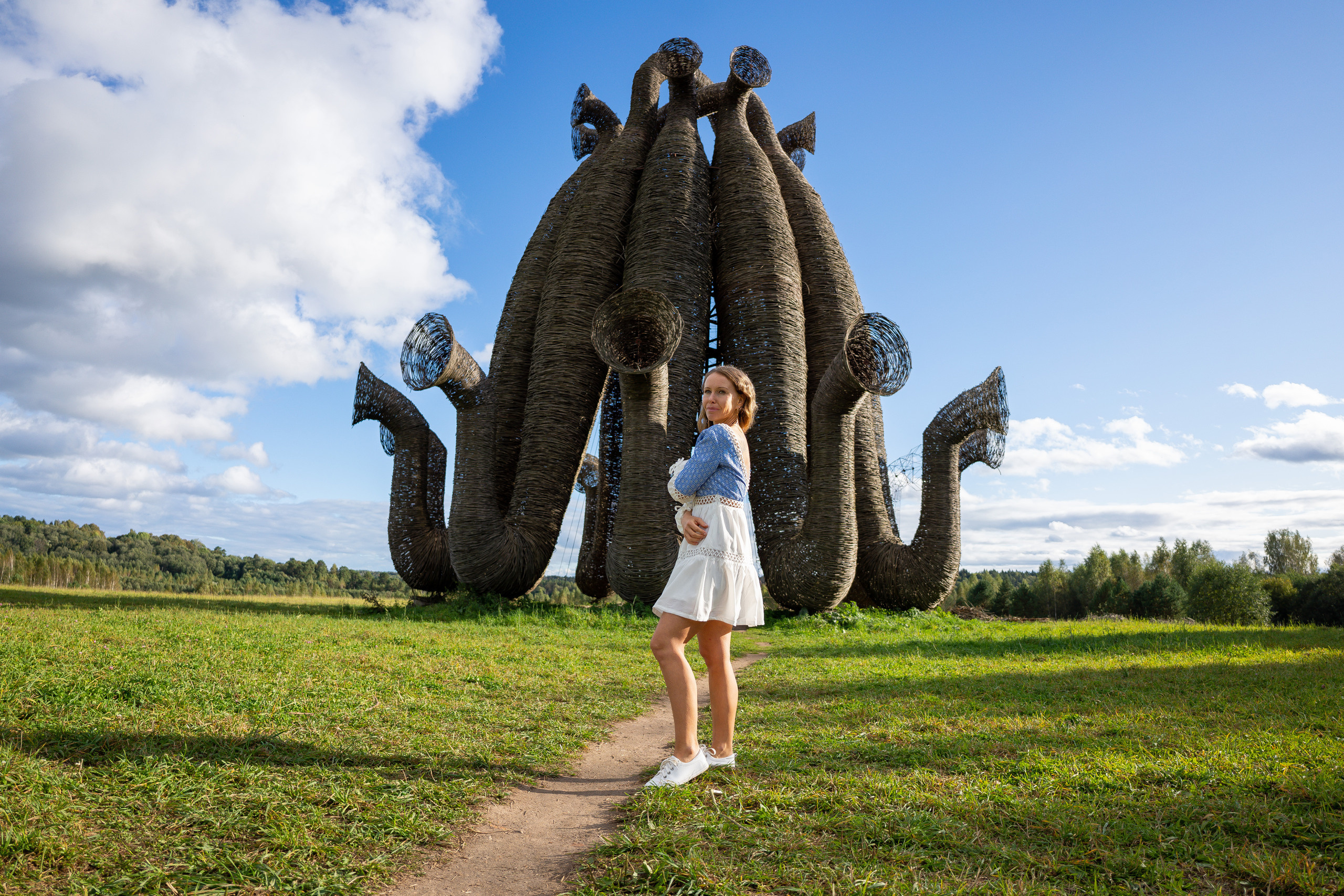 Индивидуальная. PROmedia