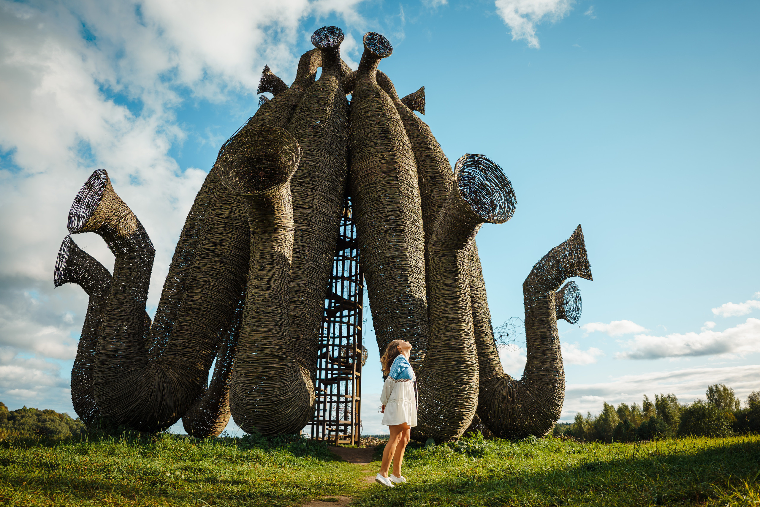 Индивидуальная. PROmedia