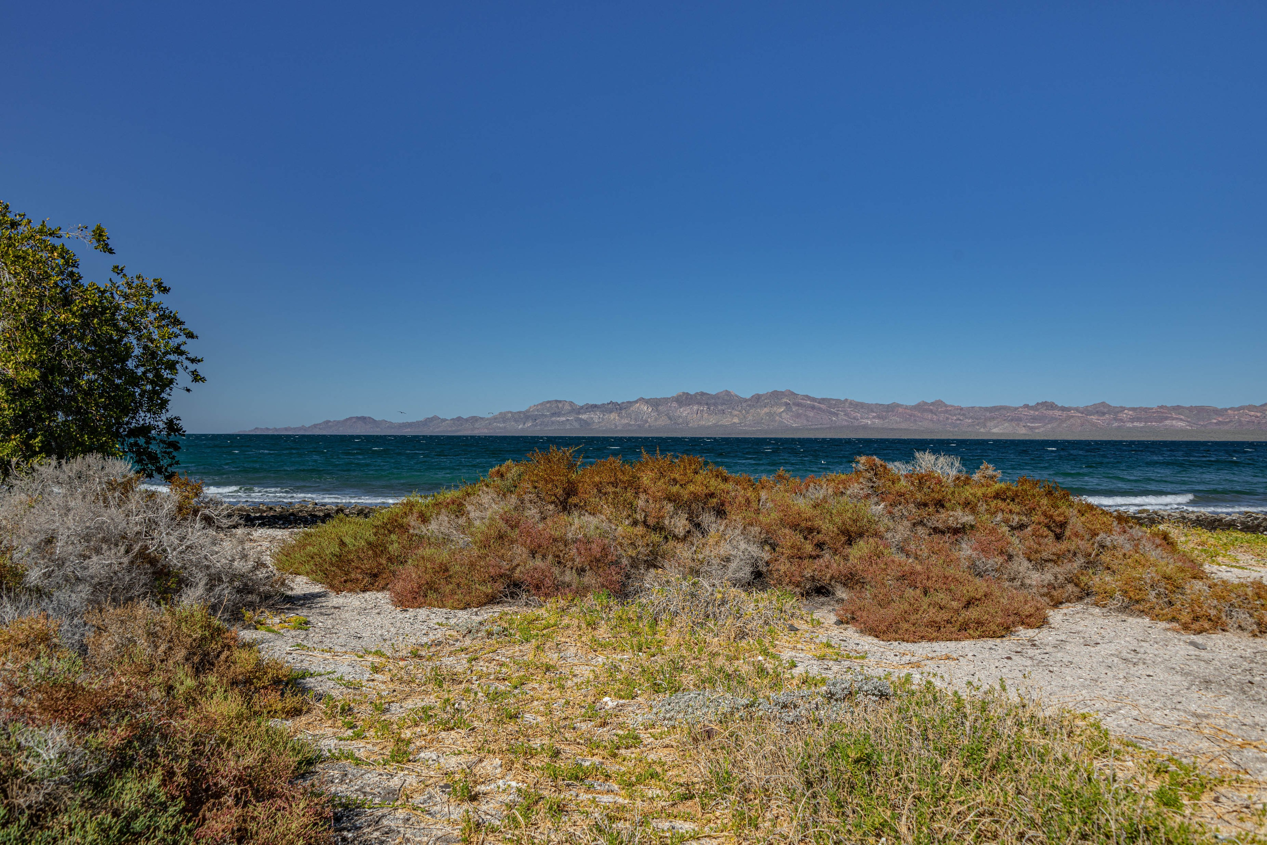 Нижняя Калифорния Playa Buenaventura. Фотограф Лара Кучина