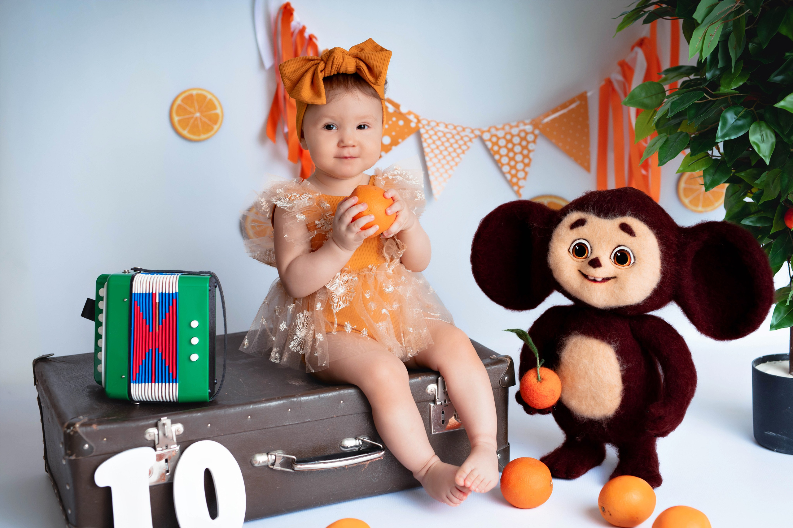 Апельсины. Фотограф Болотова Иветта