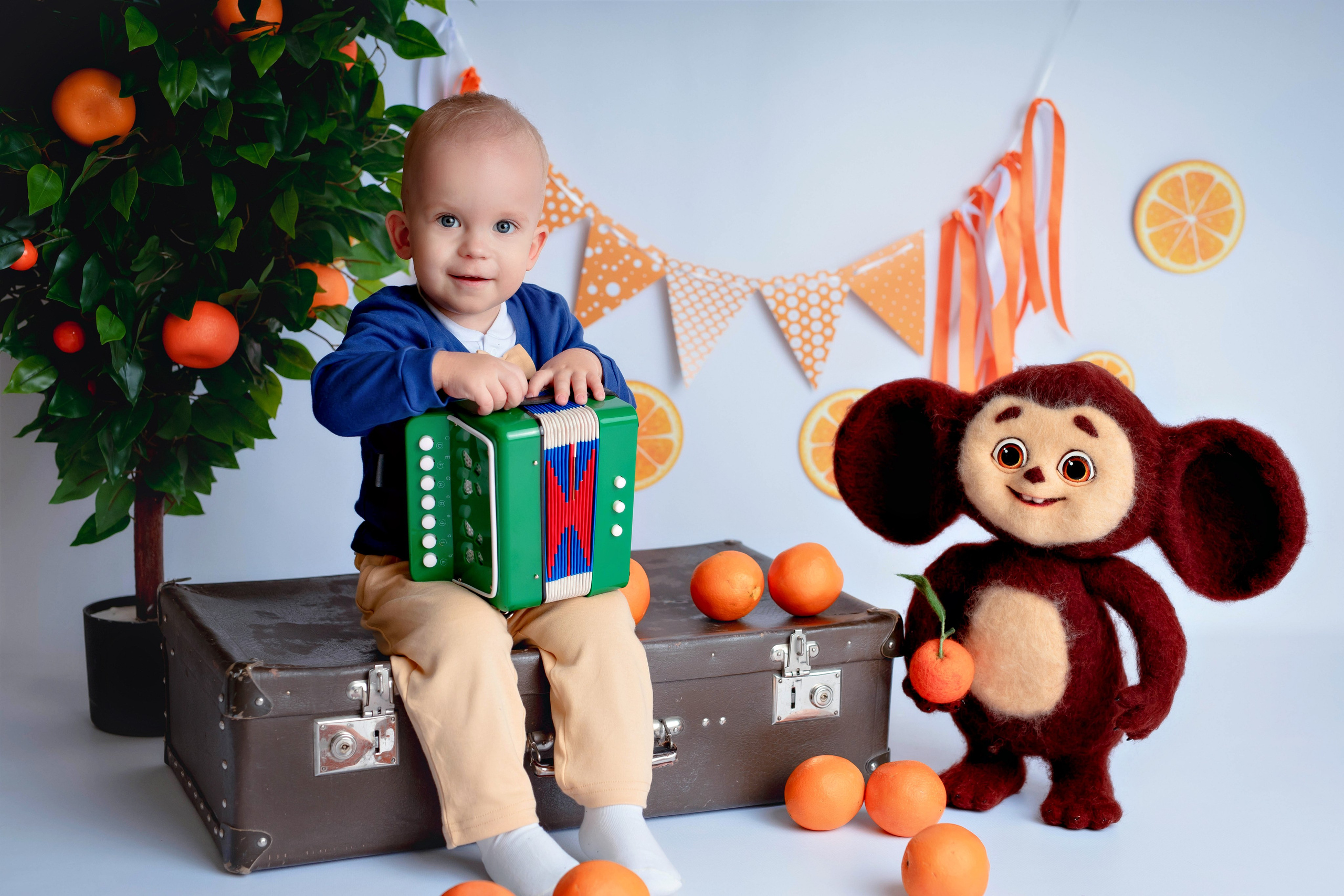 Апельсины. Фотограф Болотова Иветта