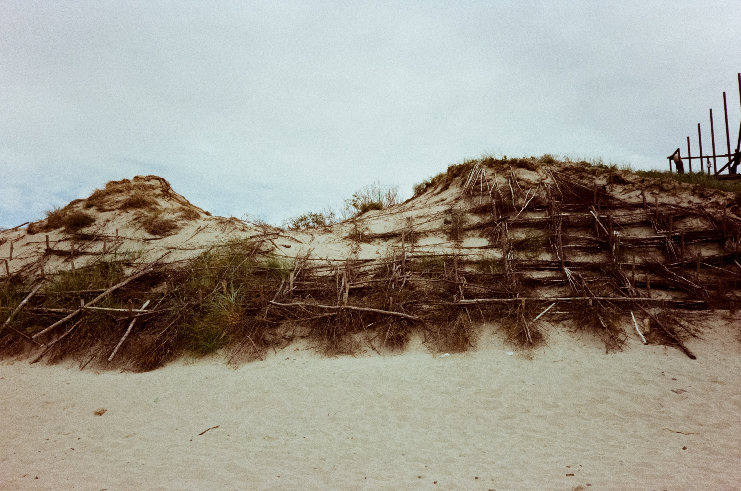 Куршская коса. Море и дюны. Фотограф-документалист Мария Осокина