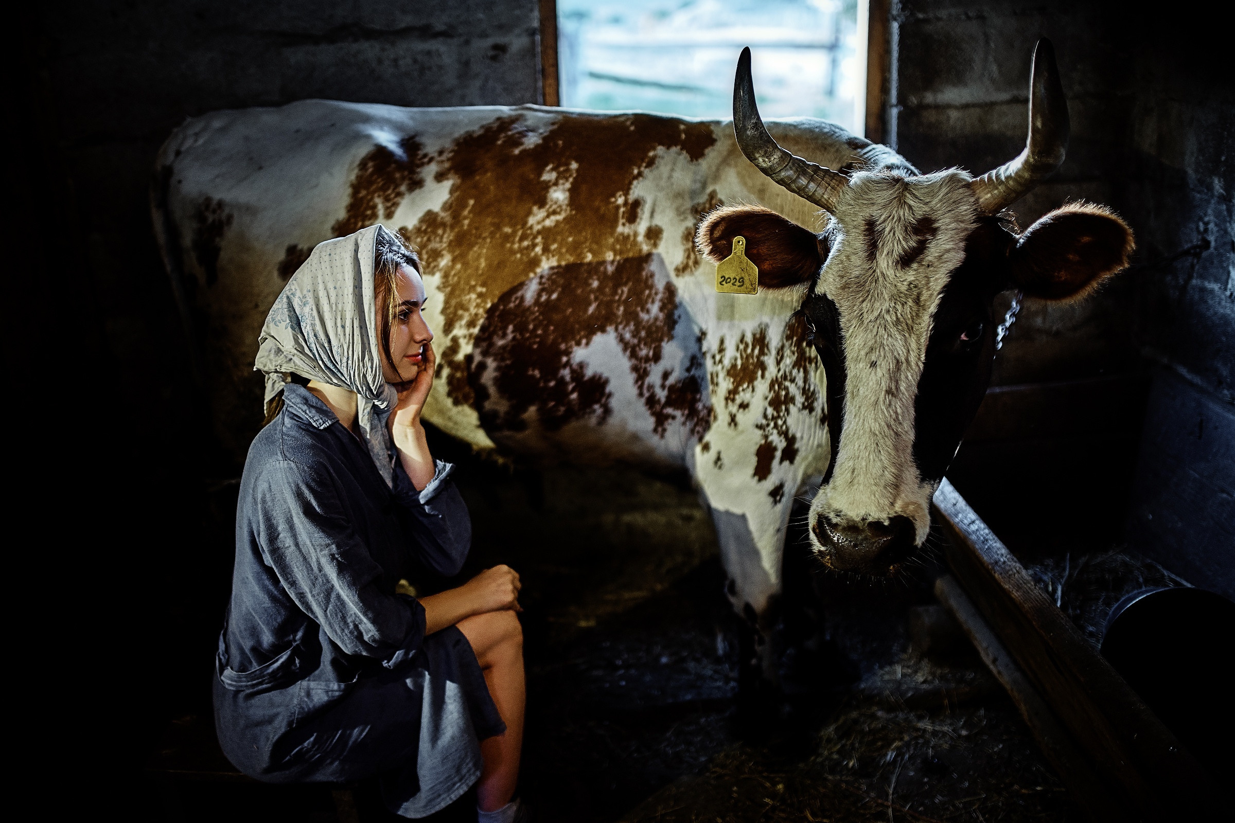 Алена доярка. Фотограф в Тольятти Вячеслав Цуркан