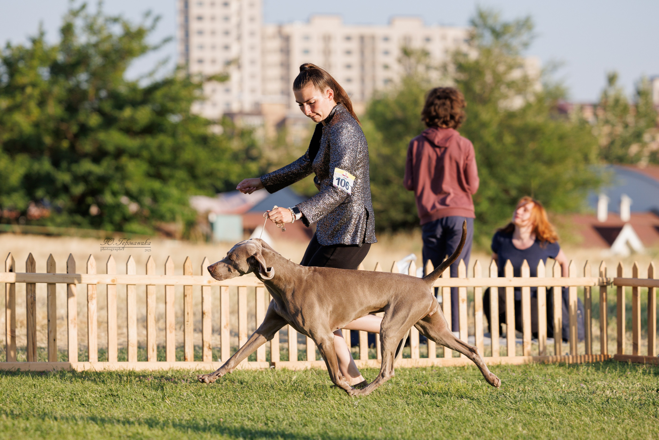 Ереван 3хCACIB 23-25.06.2025. Фотограф-анималист Юлия Германика
