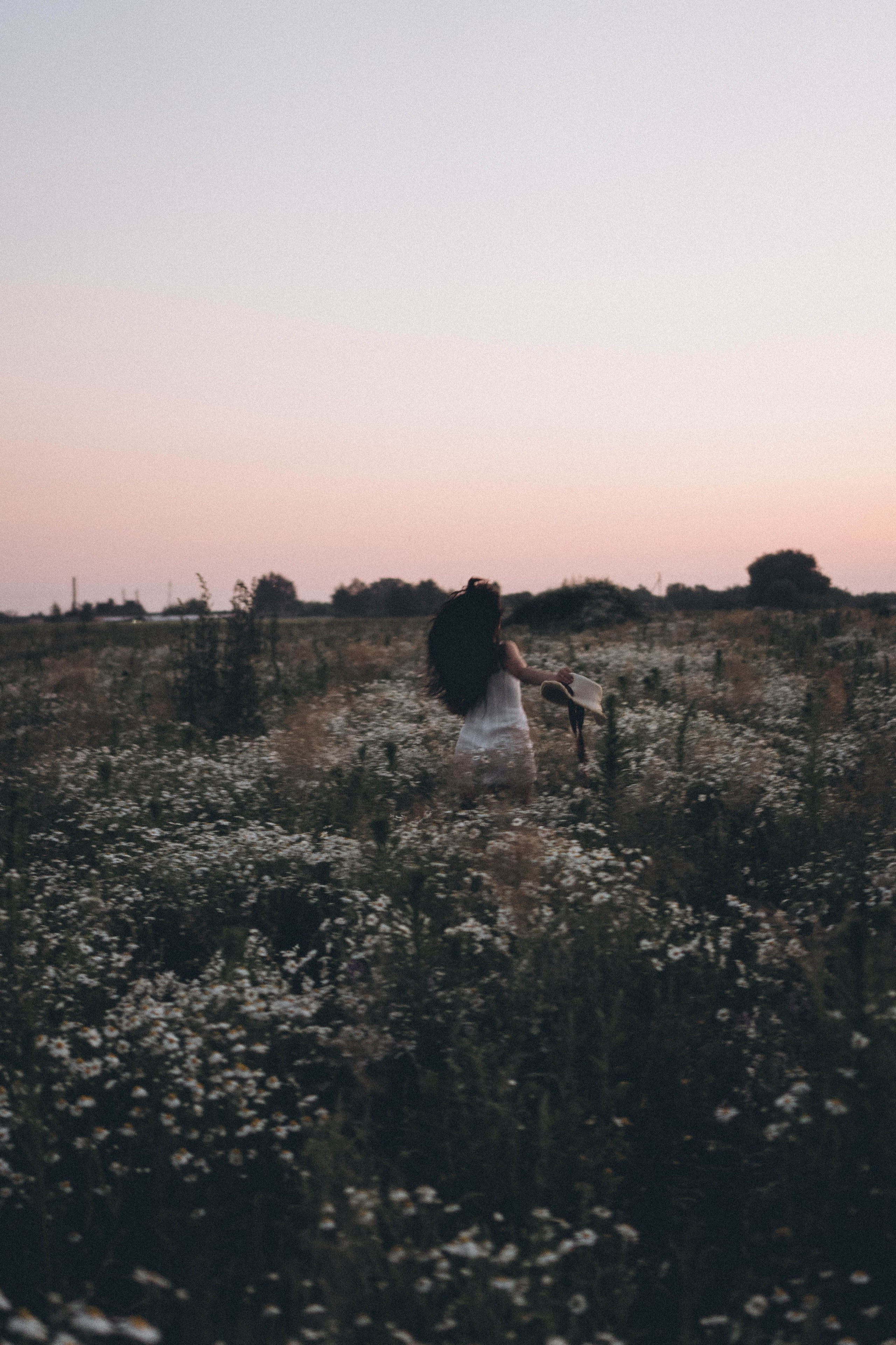 Ромашковое поле. Профессиональный фотограф, Санкт-Петербург — Виктория Богомолова