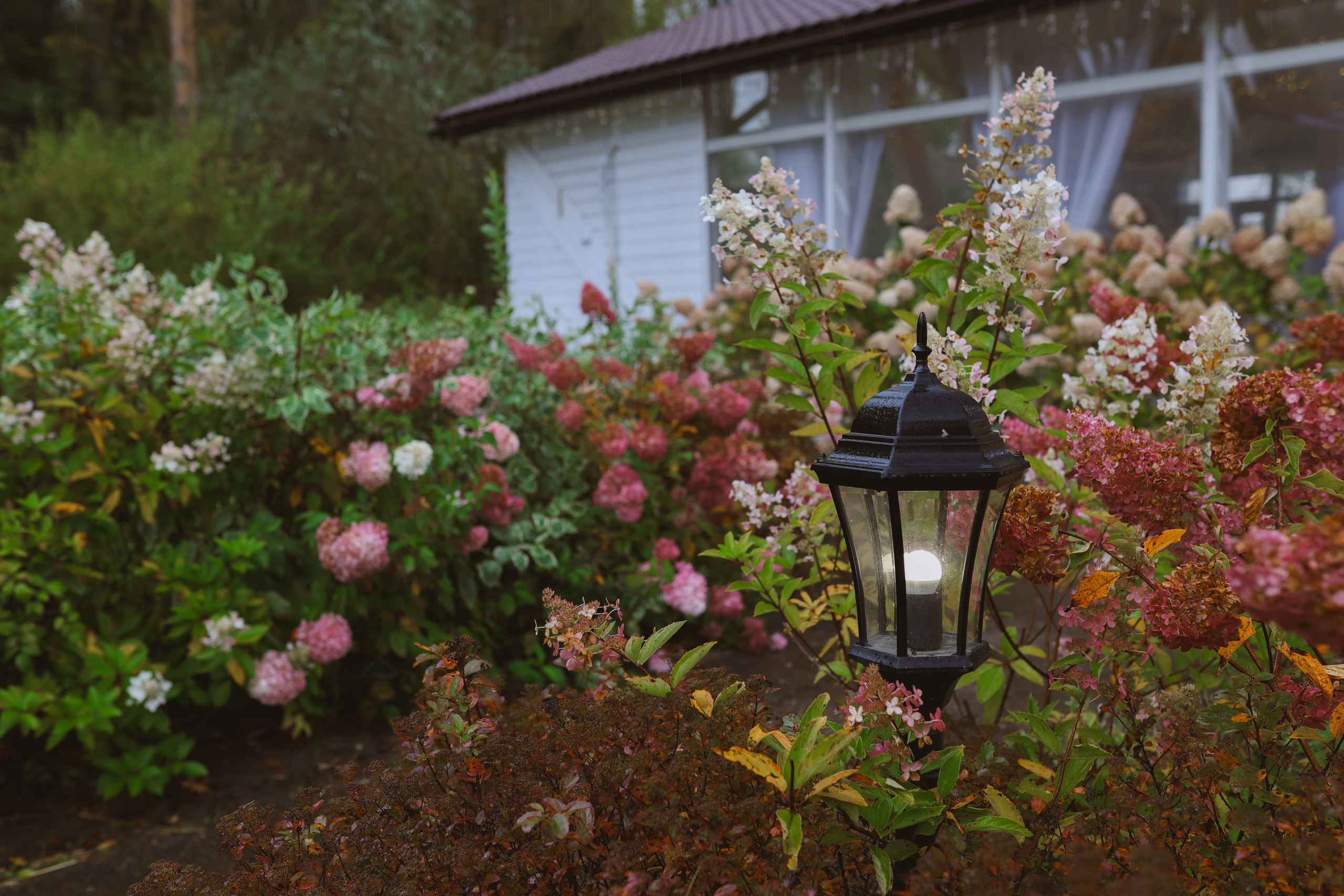 Зеленоградский ЗАГС. Свадебный фотограф Курзина Ольга | Москва
