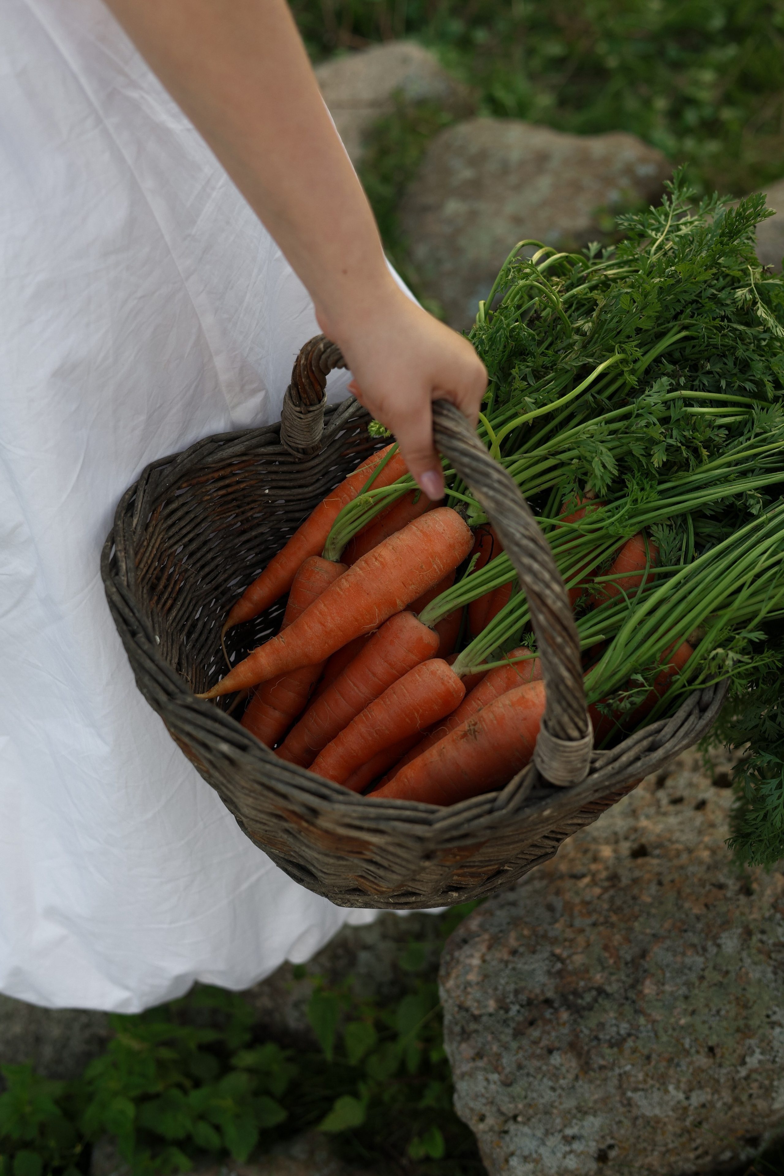 Алина & Сергей. Фотограф в Калининграде Сокирко Светлана