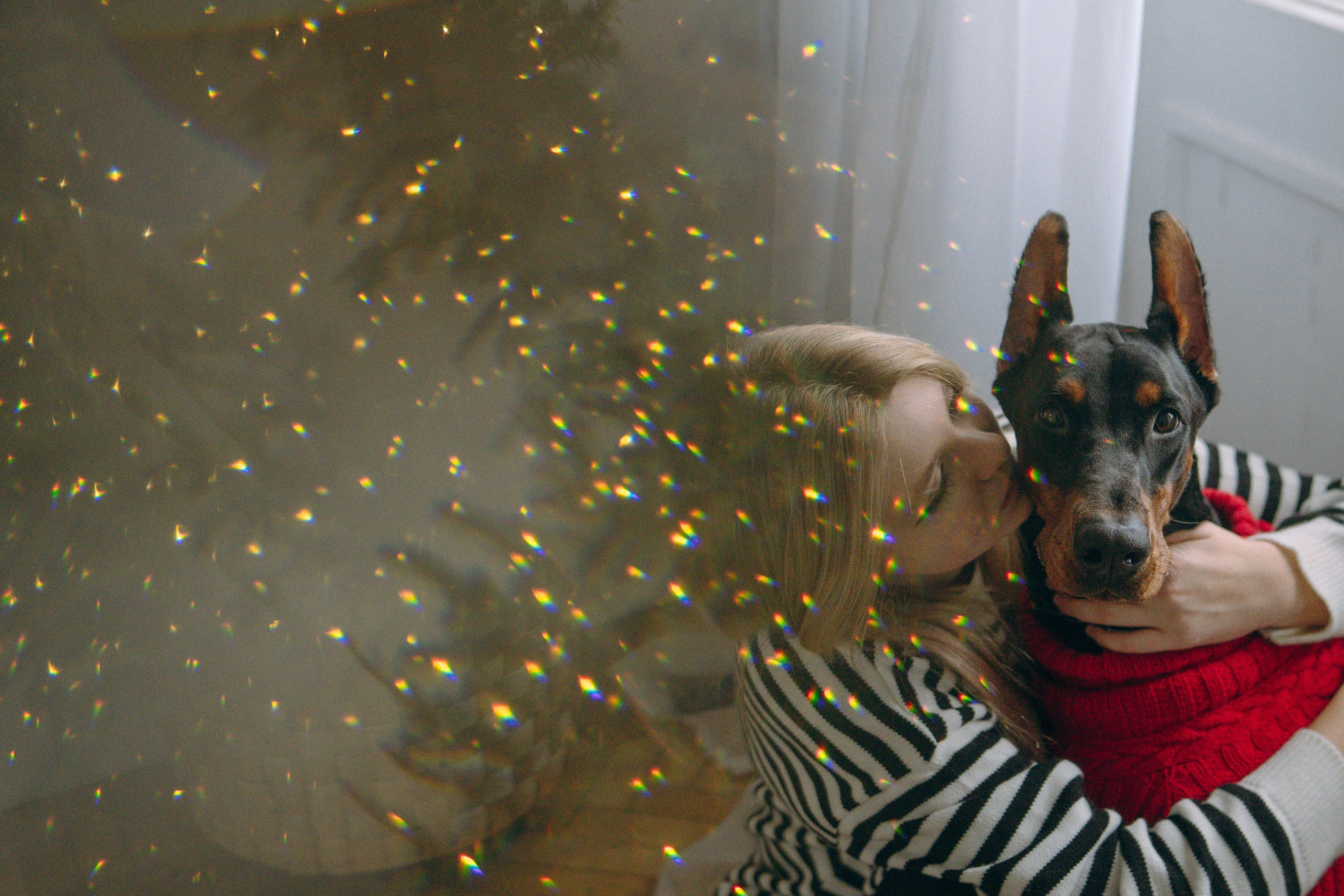 Саша и Асти. Фотограф анималист в Москве и Санкт-Петербурге Свиридова Анна