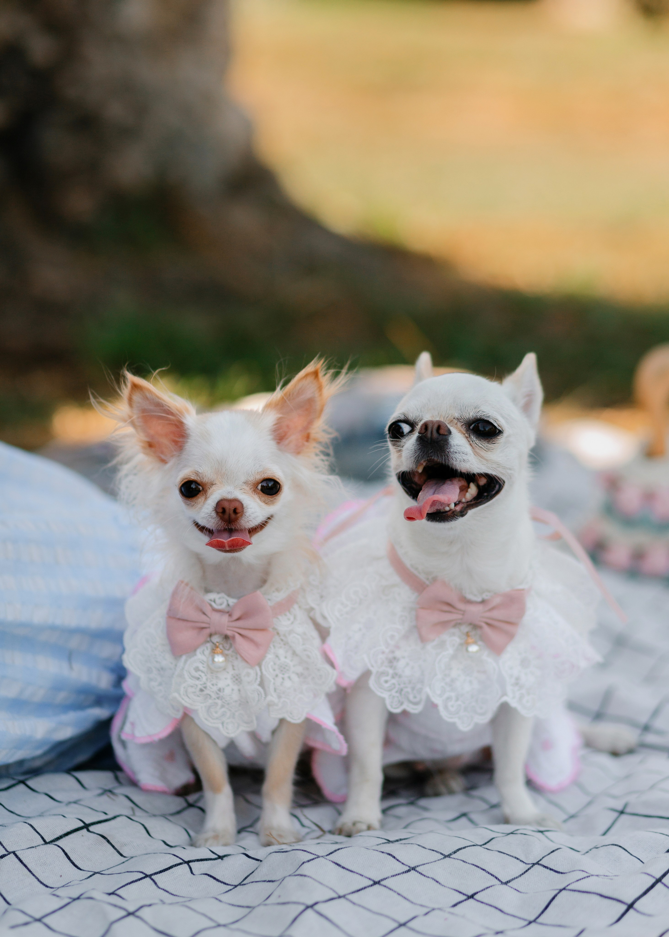 Charming Princesses. Barbara Isaeva