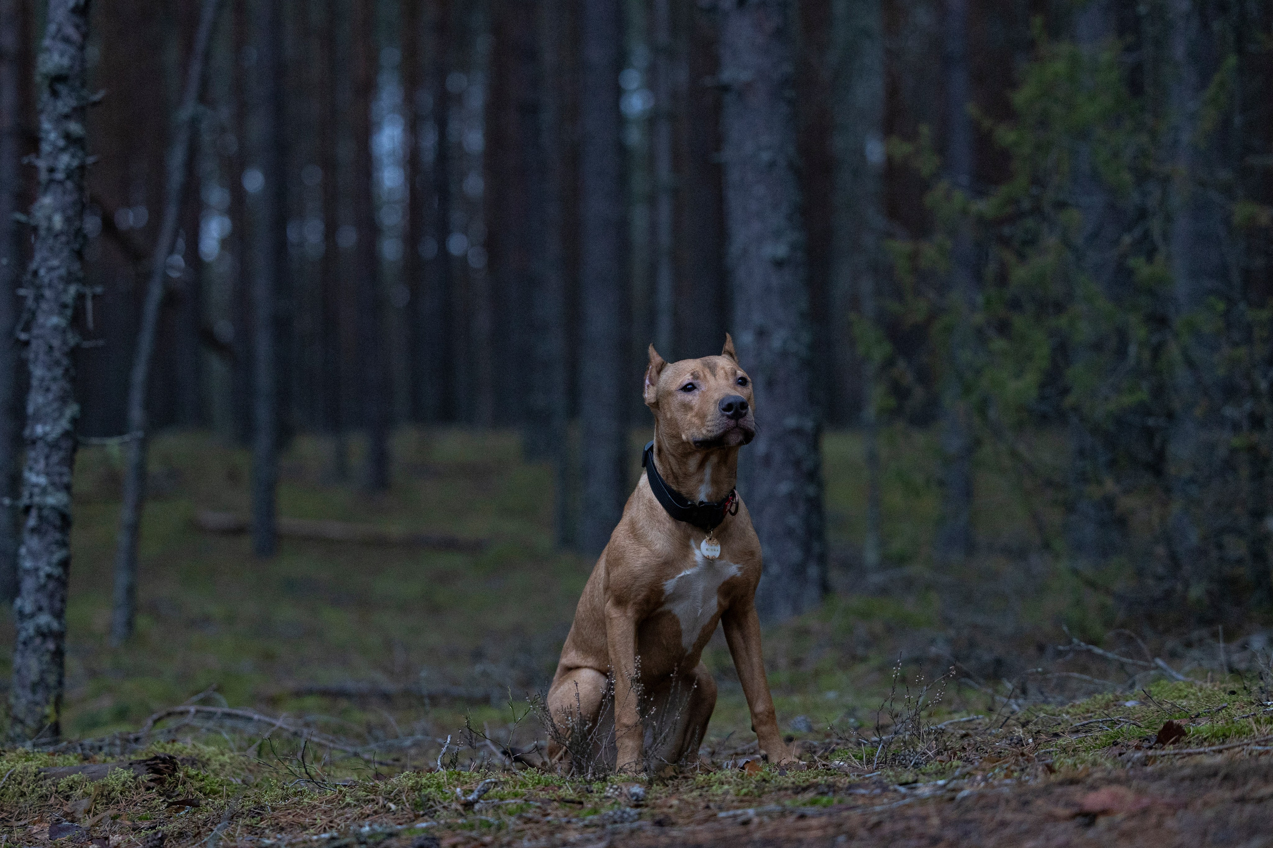 Лужские Мальдивы. Фотограф-анималист Анна Маринич