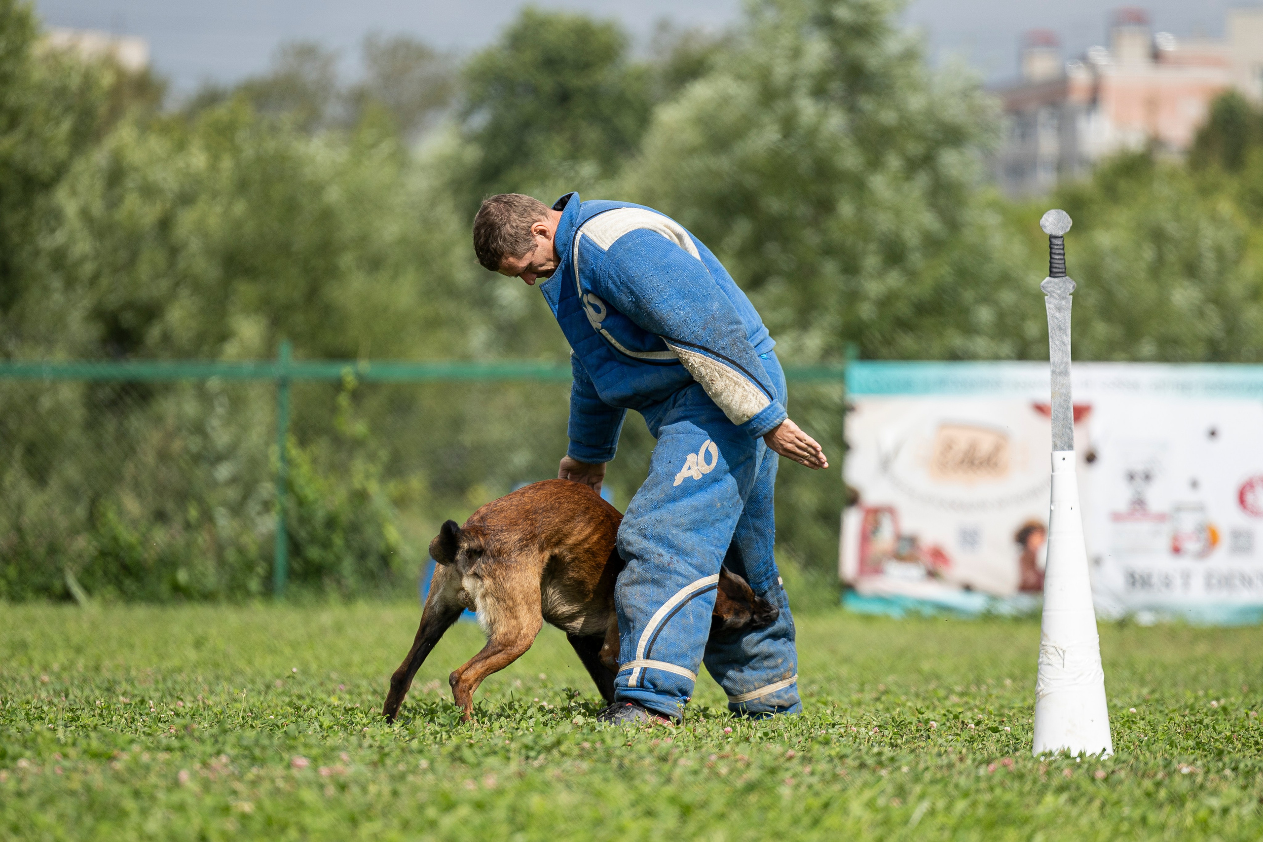 Соревнования по Мондьорингу г. Вологда 10-11.08.2024. Фотограф-анималист Анна Маринич