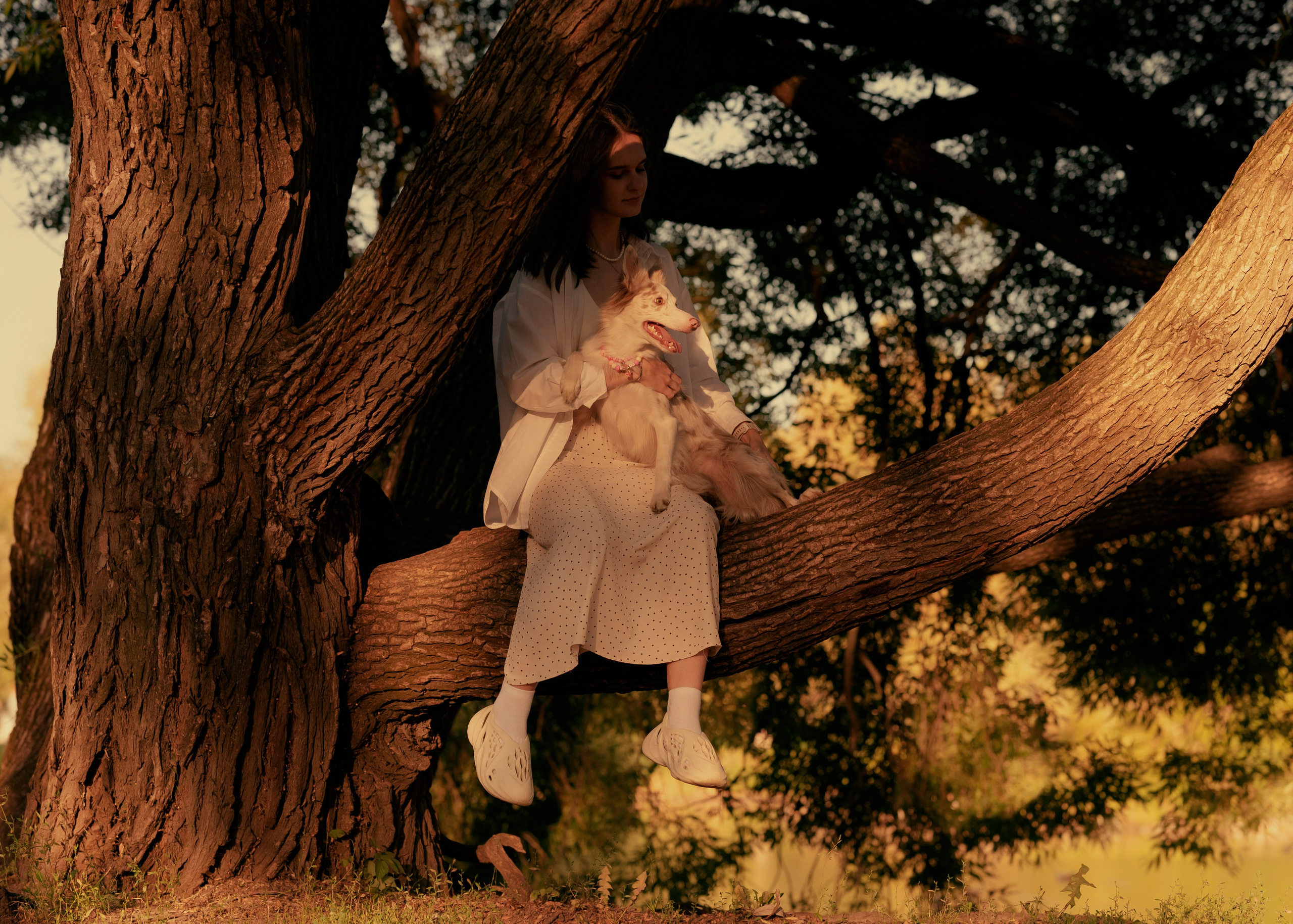 Вэй. Фотограф- анималист Александра Матвеева