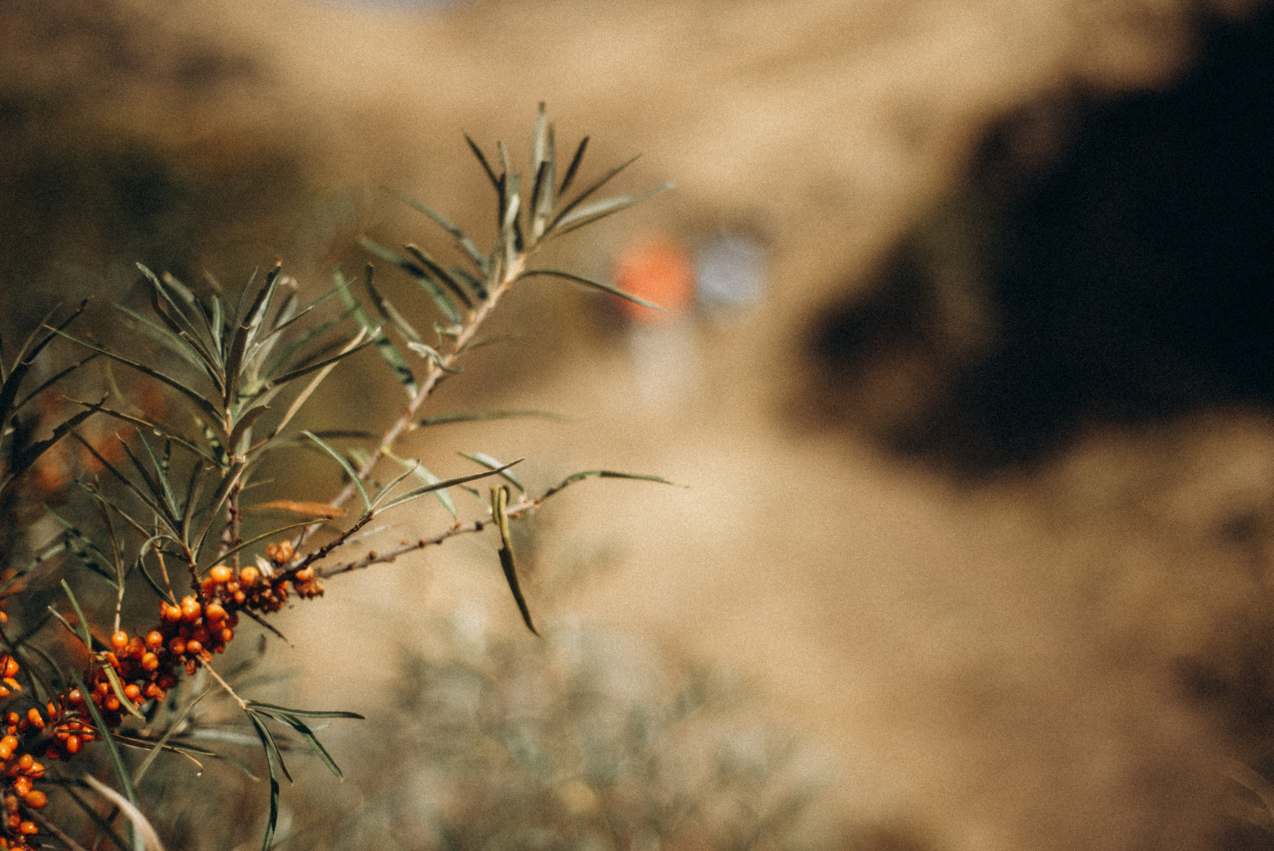 Казбеги, Грузия 🇬🇪 «PVD Club». Anita_photo