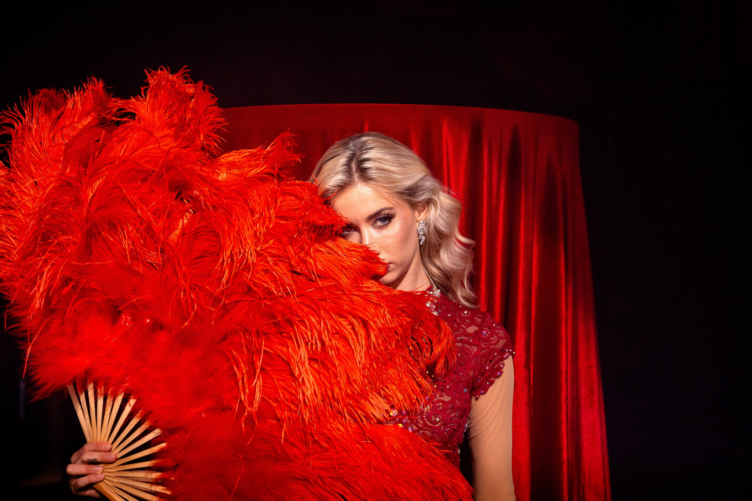 Цирковое шоу. Видеограф Добромыслов