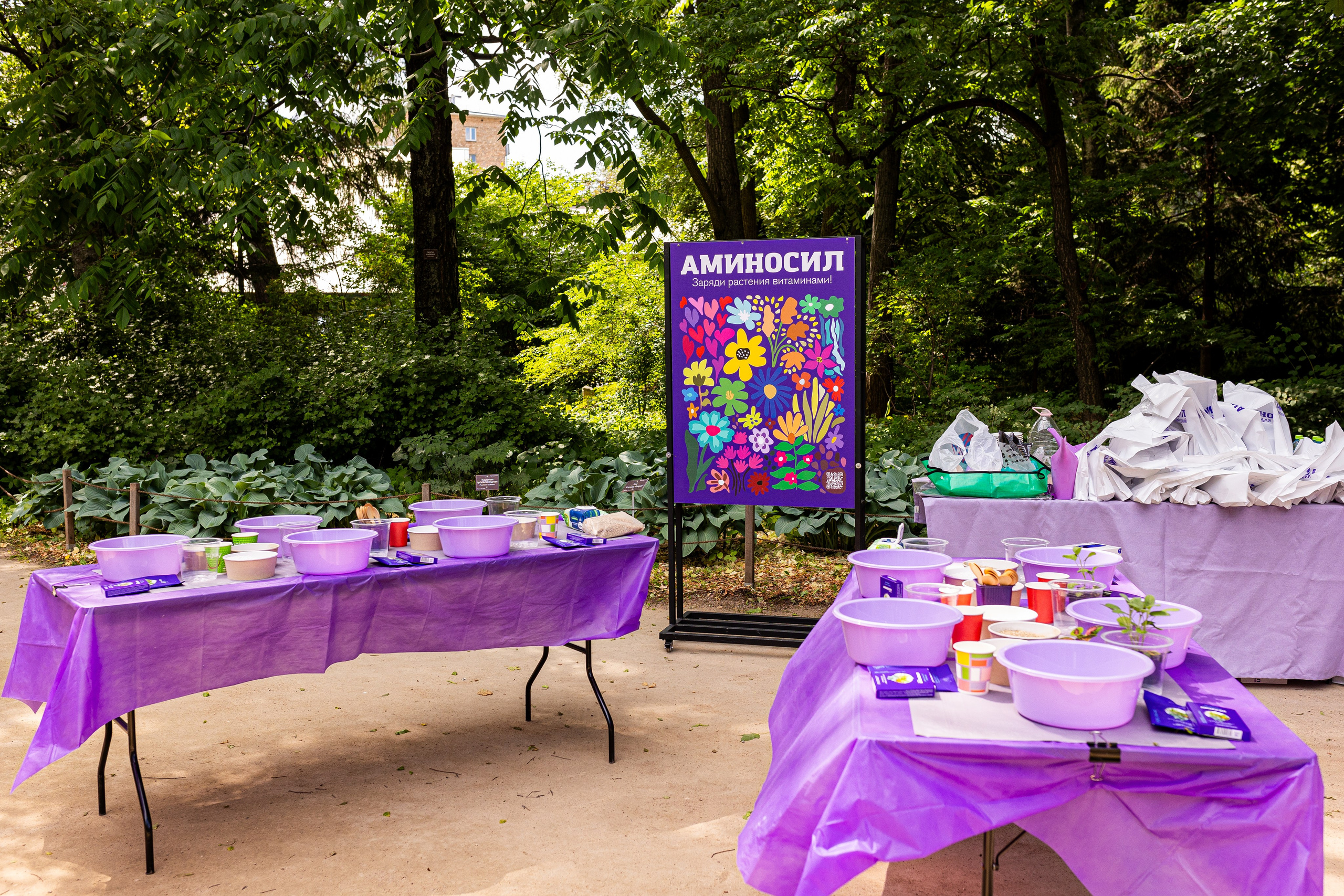 Мастер-класс от Аминосил. Александра Куликова фотограф, Москва