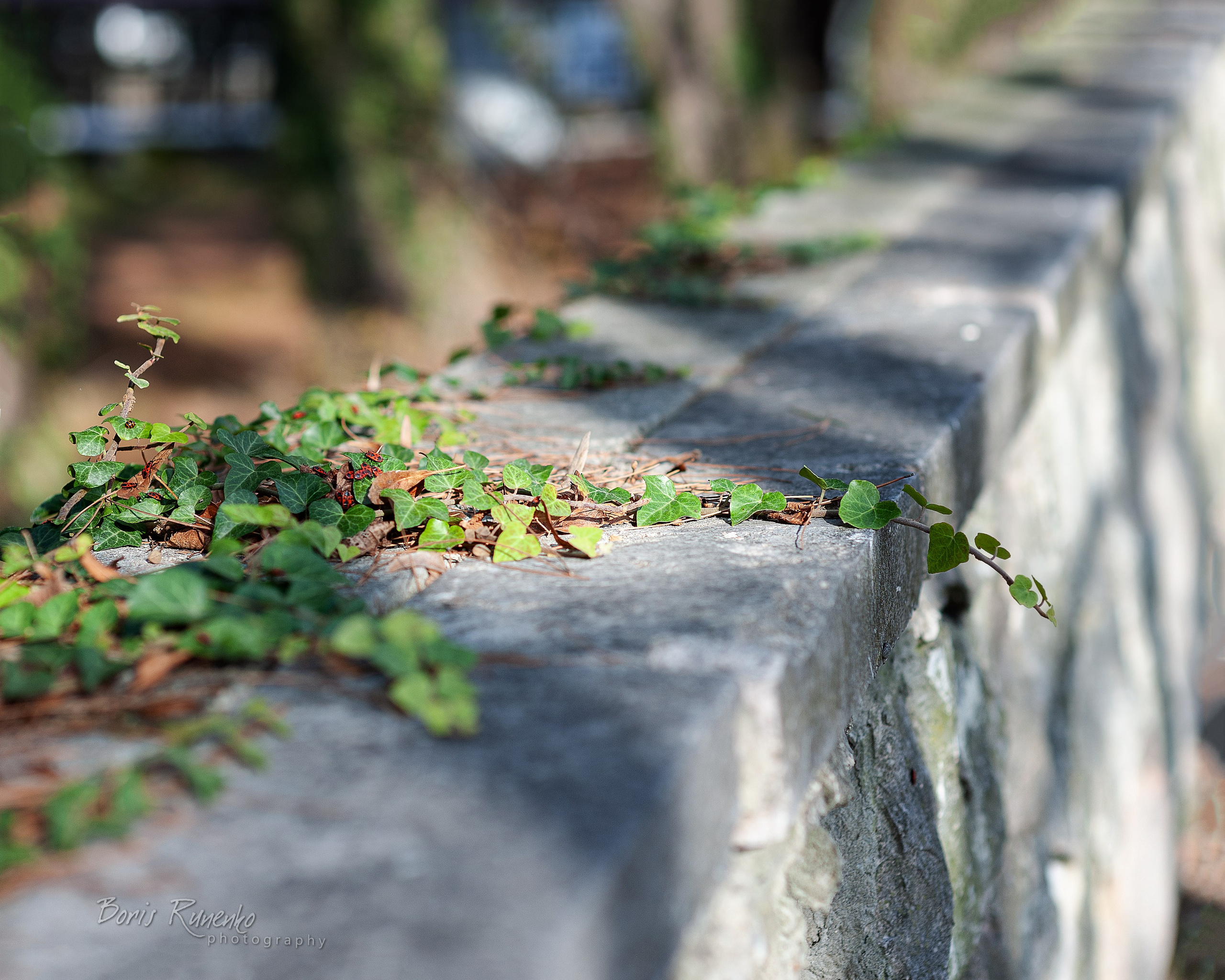 ЧЕРНОМОРСКОЕ ПОБЕРЕЖЬЕ. ОСЕНЬ. Борис Руненко. Пейзажный и travel-фотограф