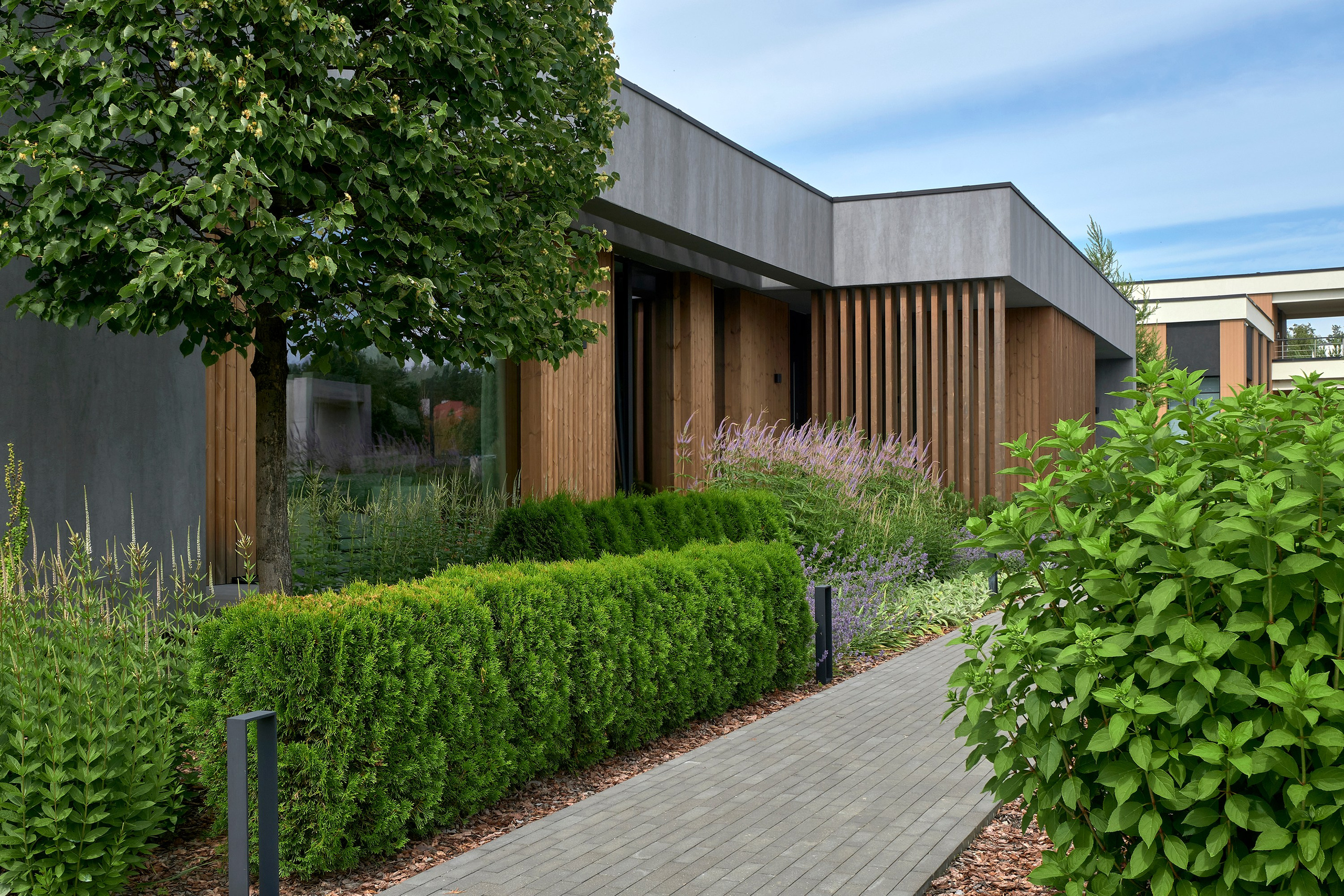 Ландшафтный и интерьерный фотограф Наталья Соловьева. Фотосъемка озеленения территории в КП Репинская Усадьба-4 для ландшафтной студии Аквилегия | interioto