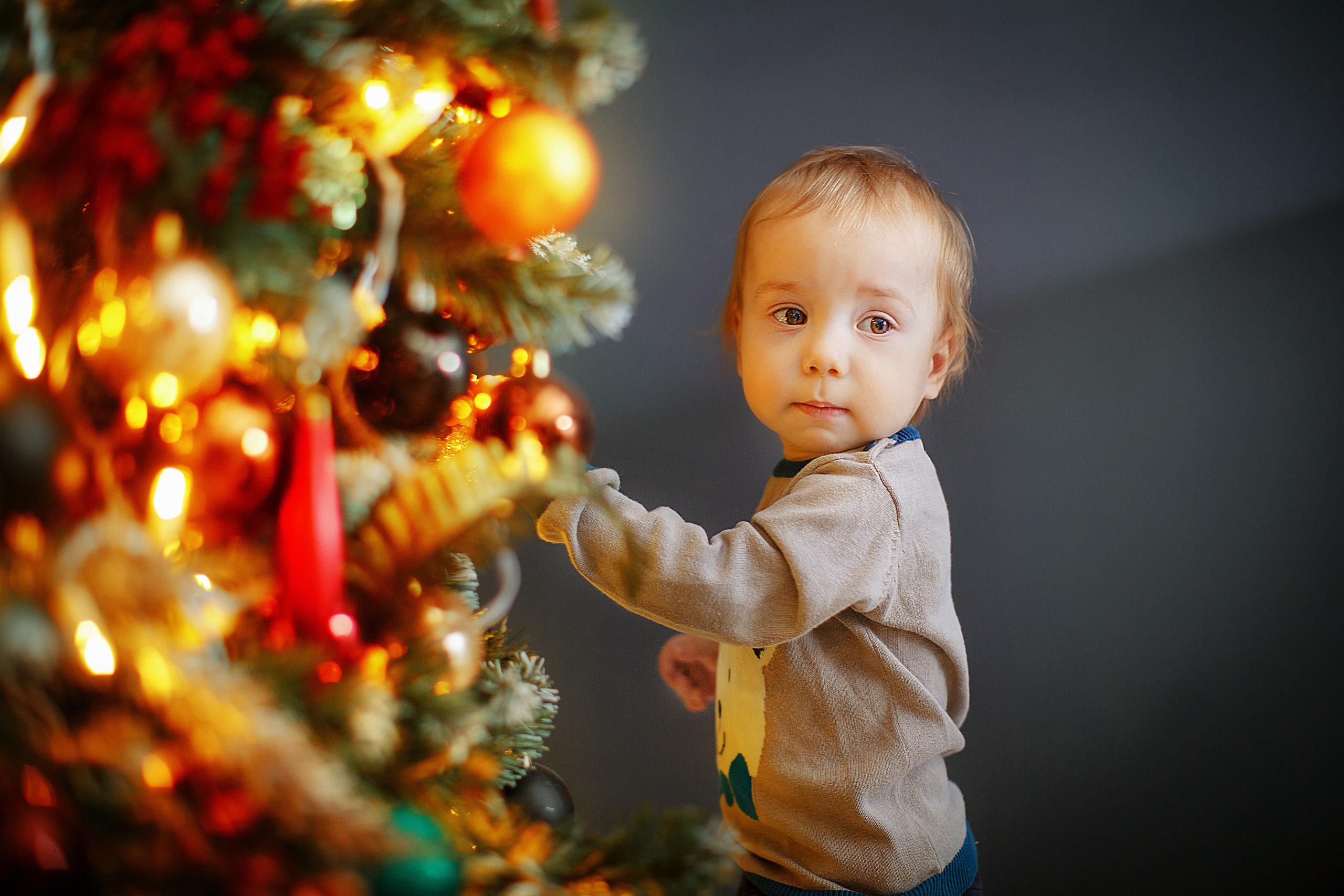 НОВОГОДНЯЯ СТУДИЙНАЯ Семен+Юлия =…. Фотограф в Москве Оксана Цехмистер