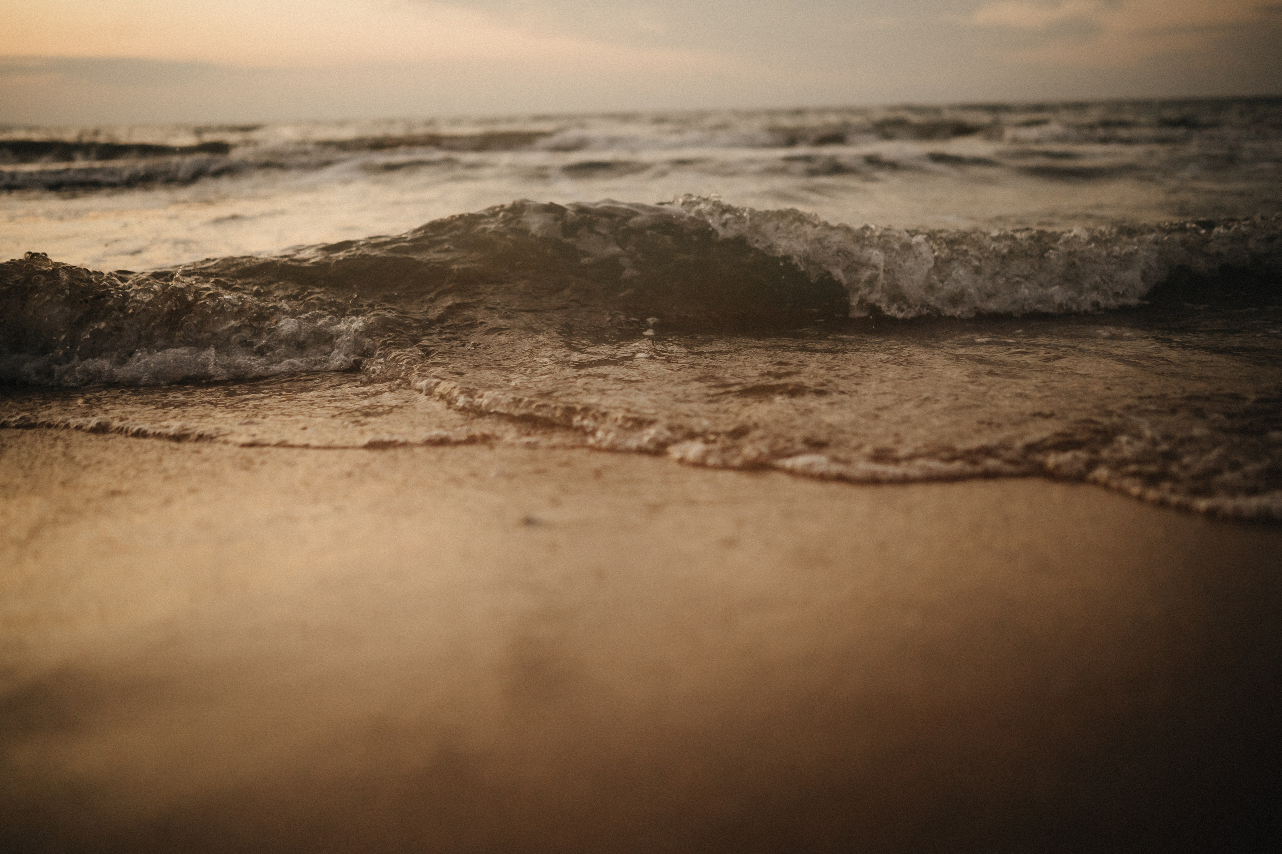 Взлететь как птицы…. Свадебный и семейный фотограф и видеограф, Крым, Москва, Санкт -Петербург