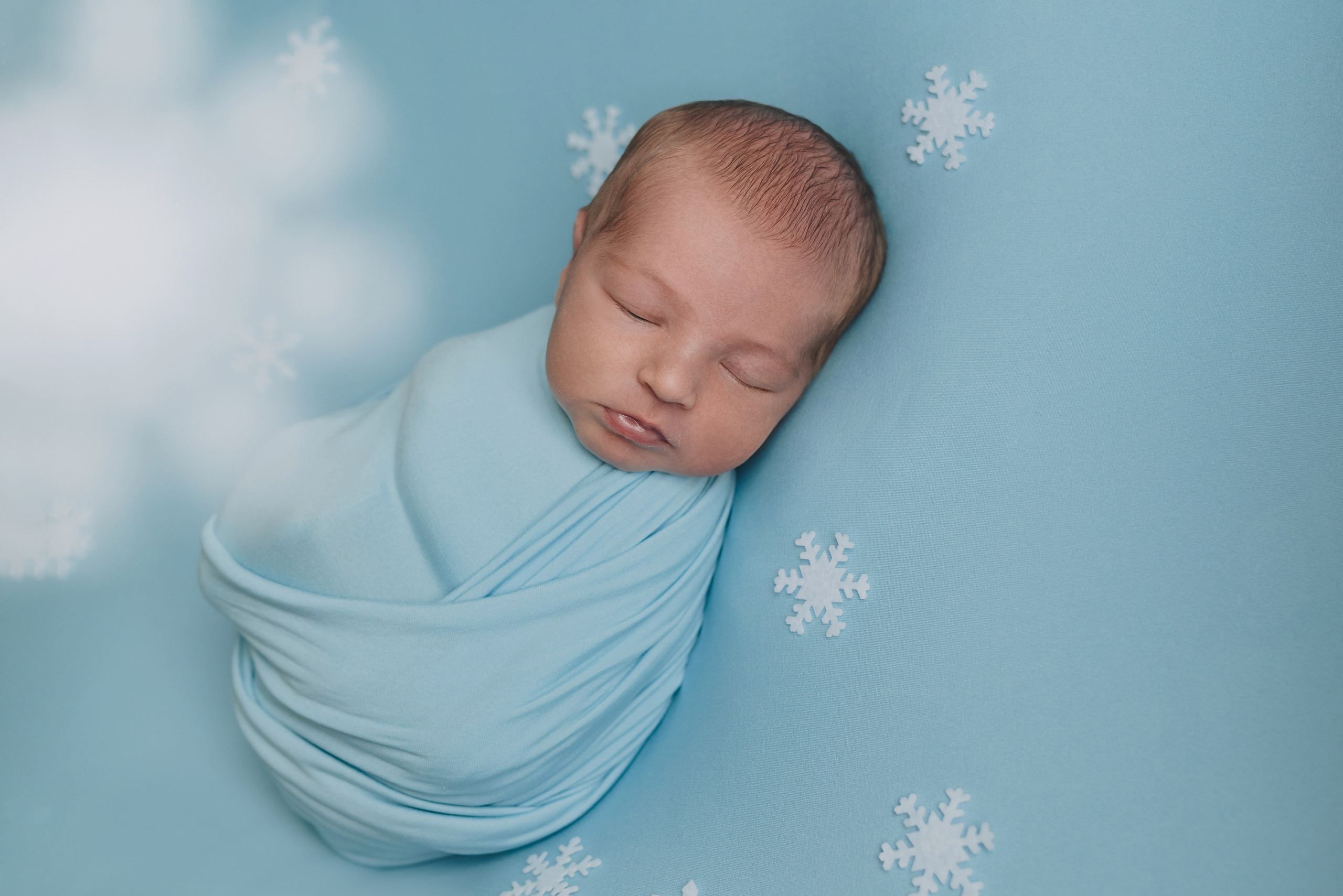 Alex. Natalia Finch Photography — Family, Kids & Pet Photographer in Chicago, IL