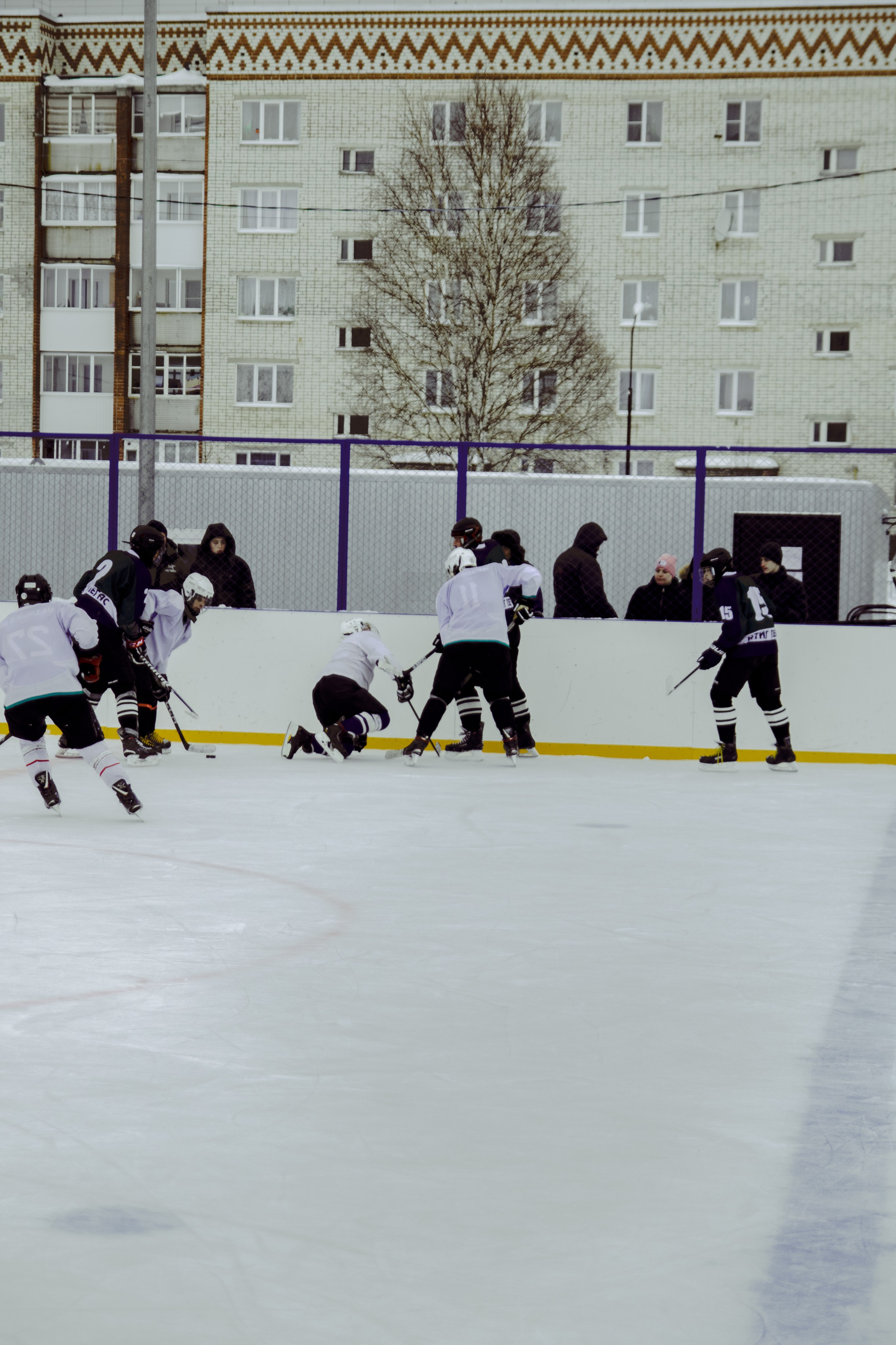 Хоккей 29.12.2024