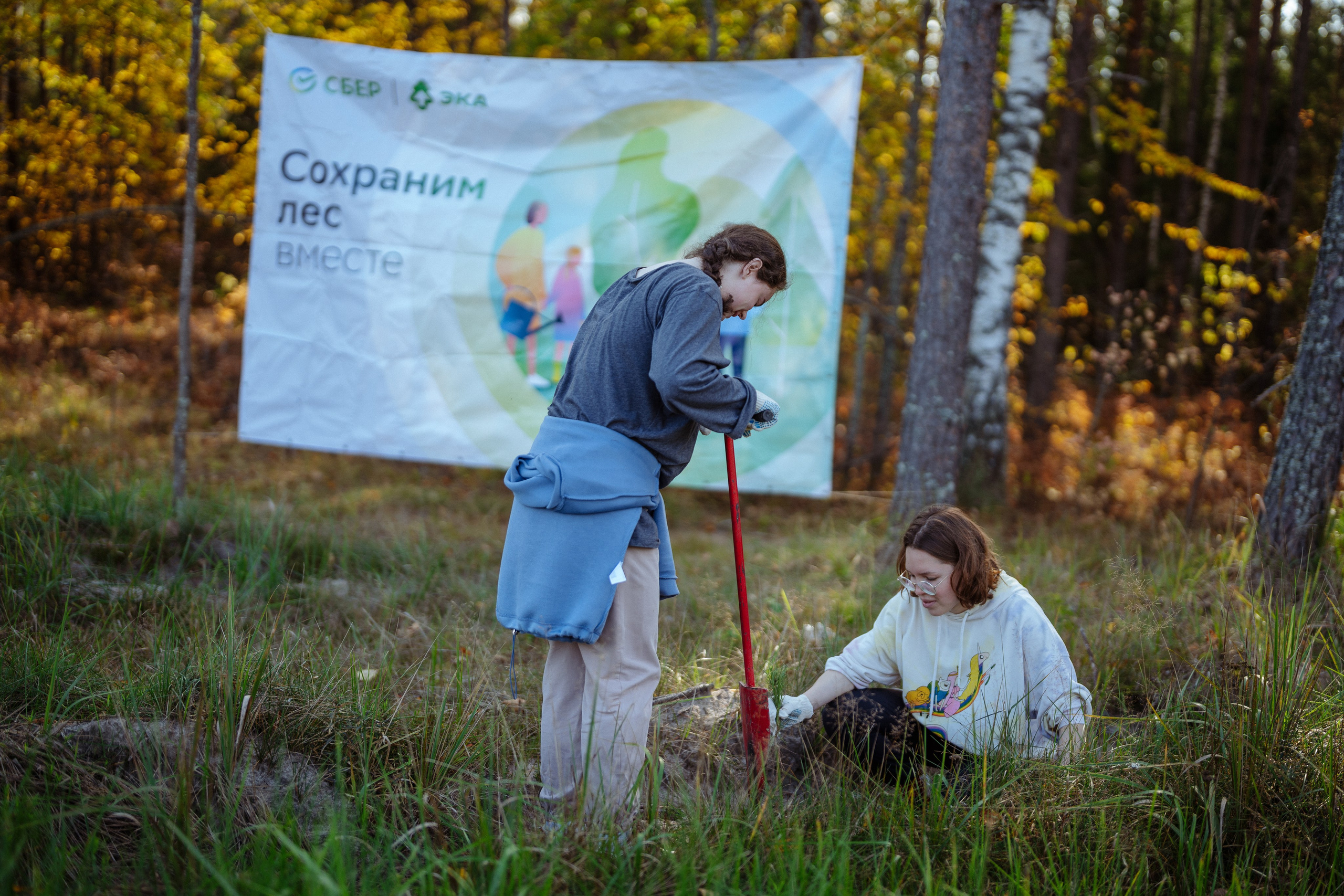 СБЕР · ЭКА · Посадка сеянцев. Владимир Вершинин, тот самый свадебный видеограф