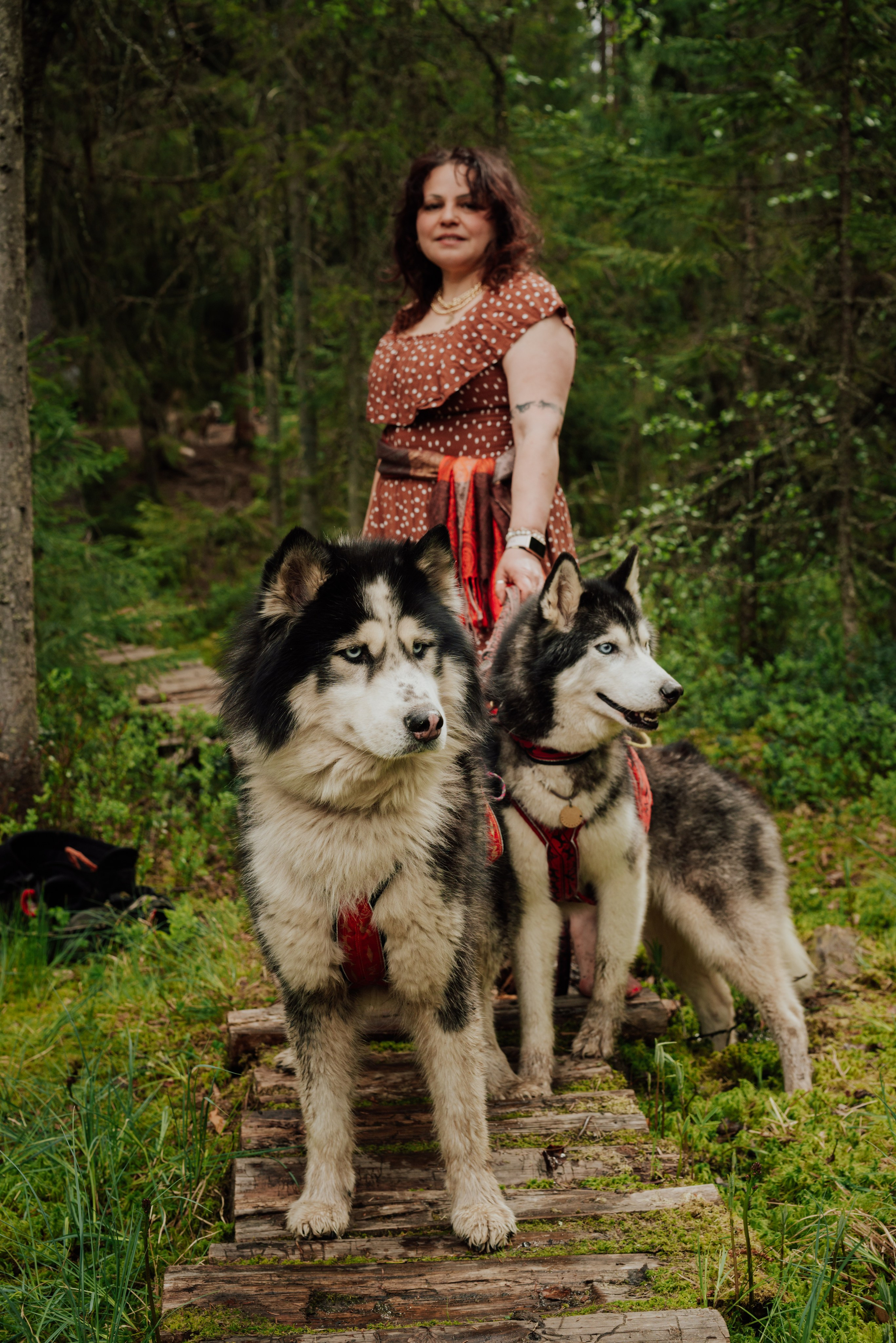 Догтрекинг. Фотограф в Санкт-Петербурге и Ленинградской области