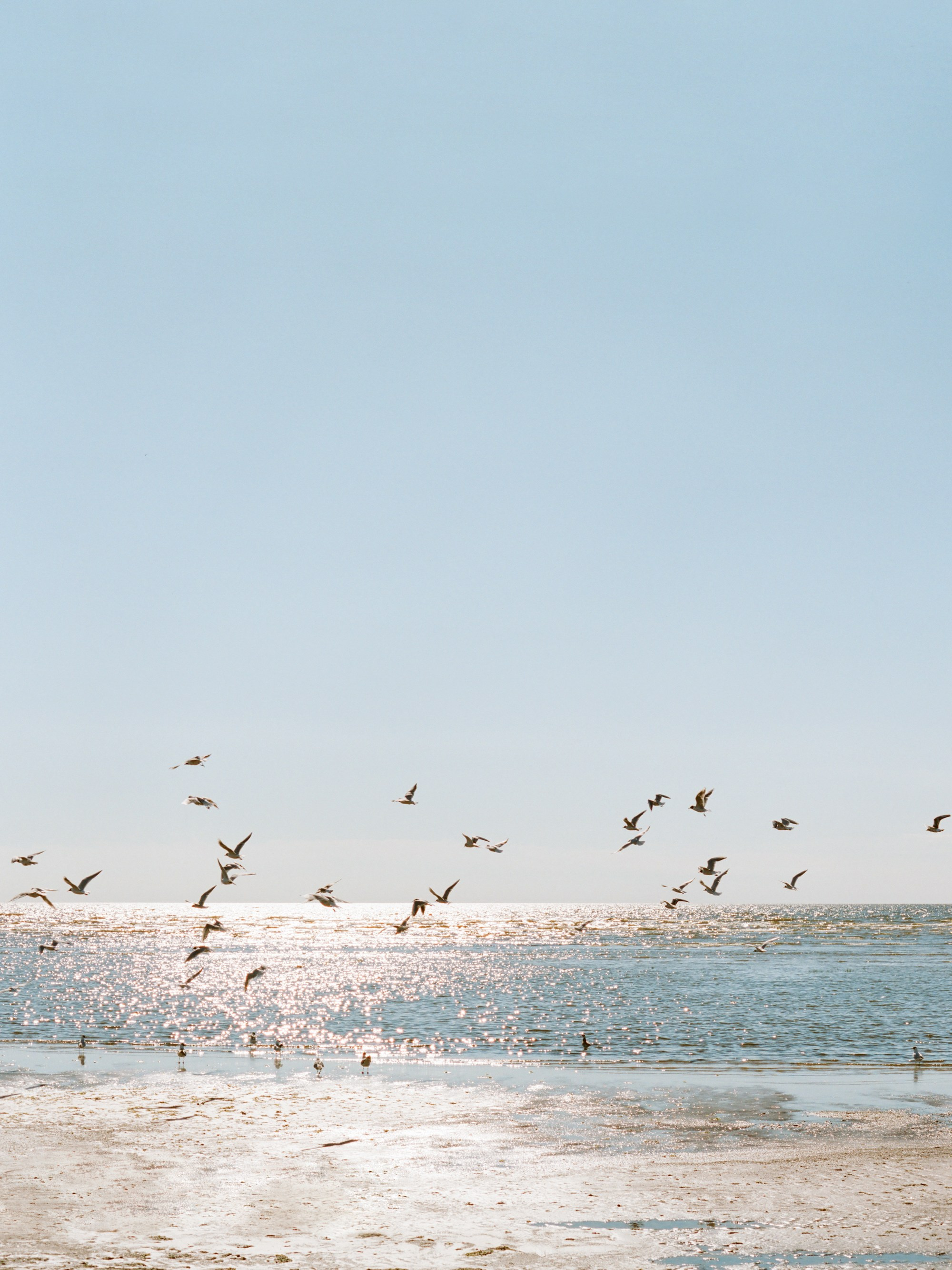 Ксения и Алексей, свадьба на Финском заливе. Изящная фотография | Ксения Милушкина