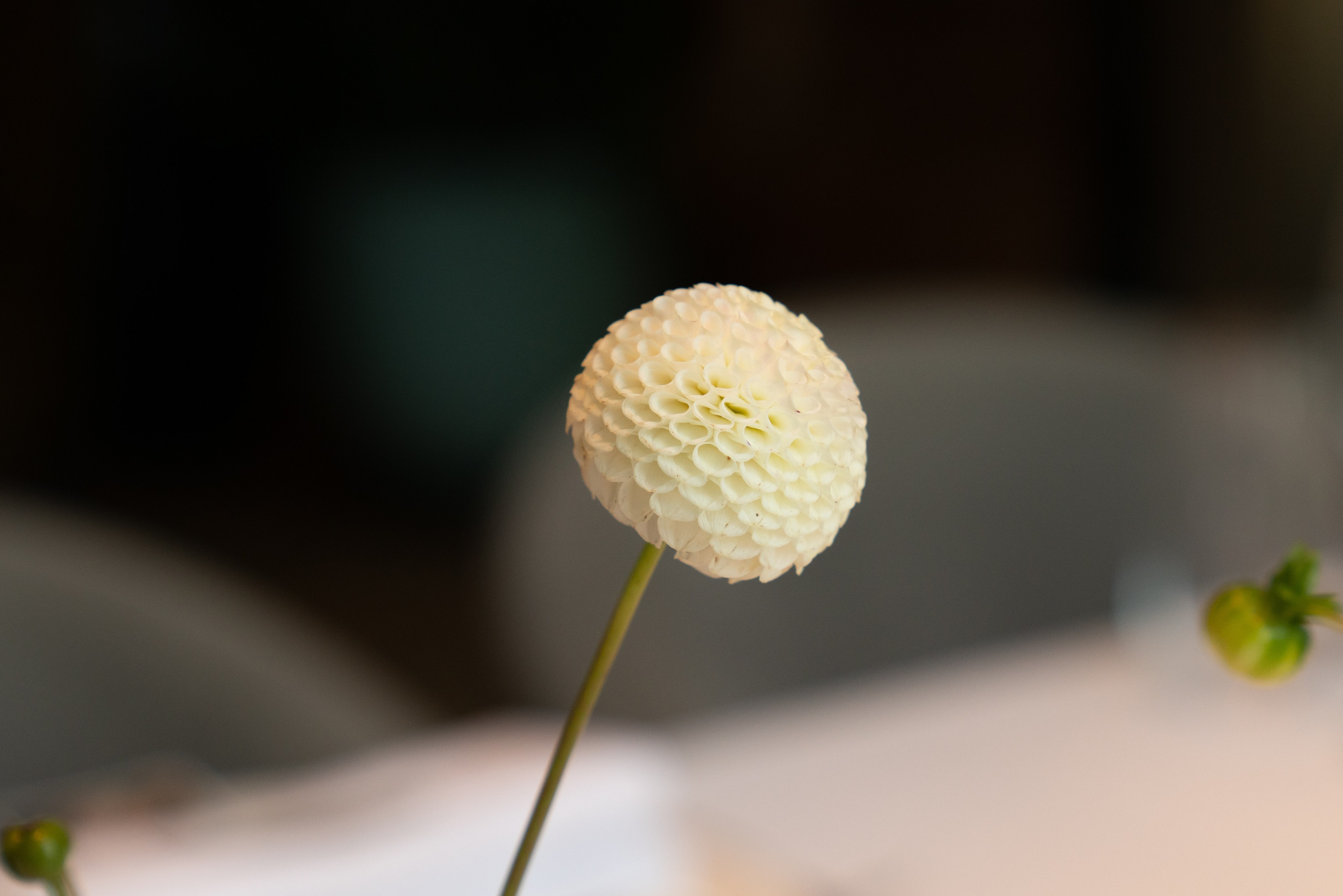 Елена & Сергей. Оформление свадеб, декор свадеб Вера Маркова, Москва