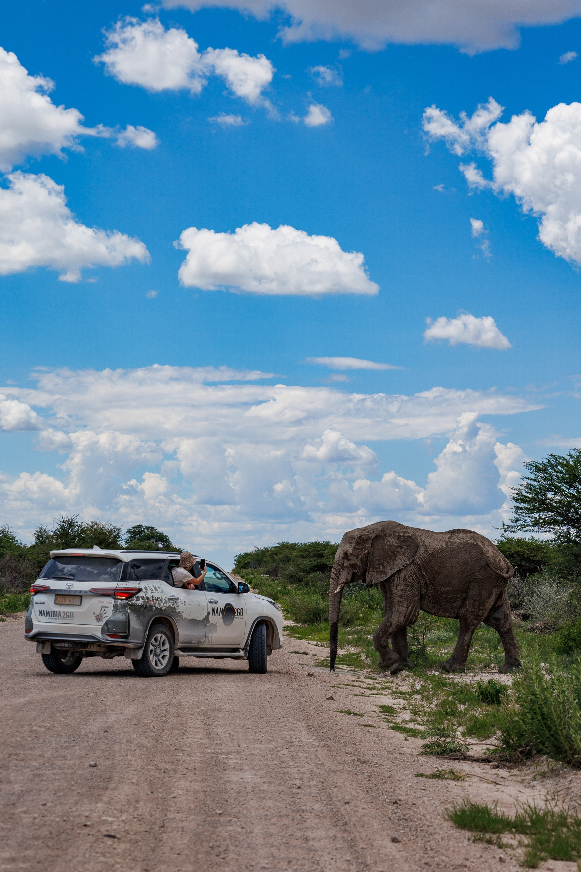 НАМИБИЯ. Роадтрип