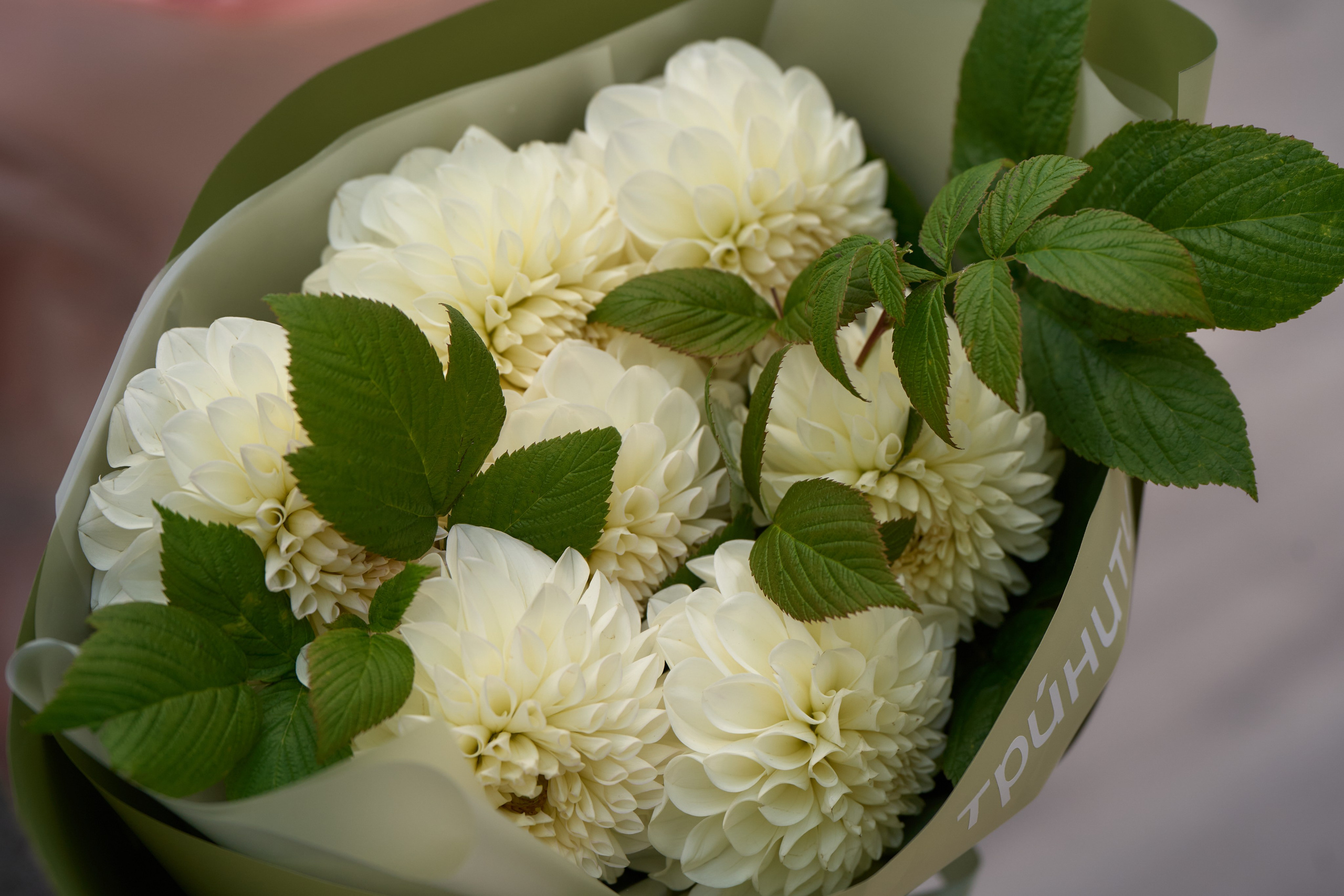 Свадебная съёмка. Свадебный фотограф Екатерина Мартазова. Екатеринбург