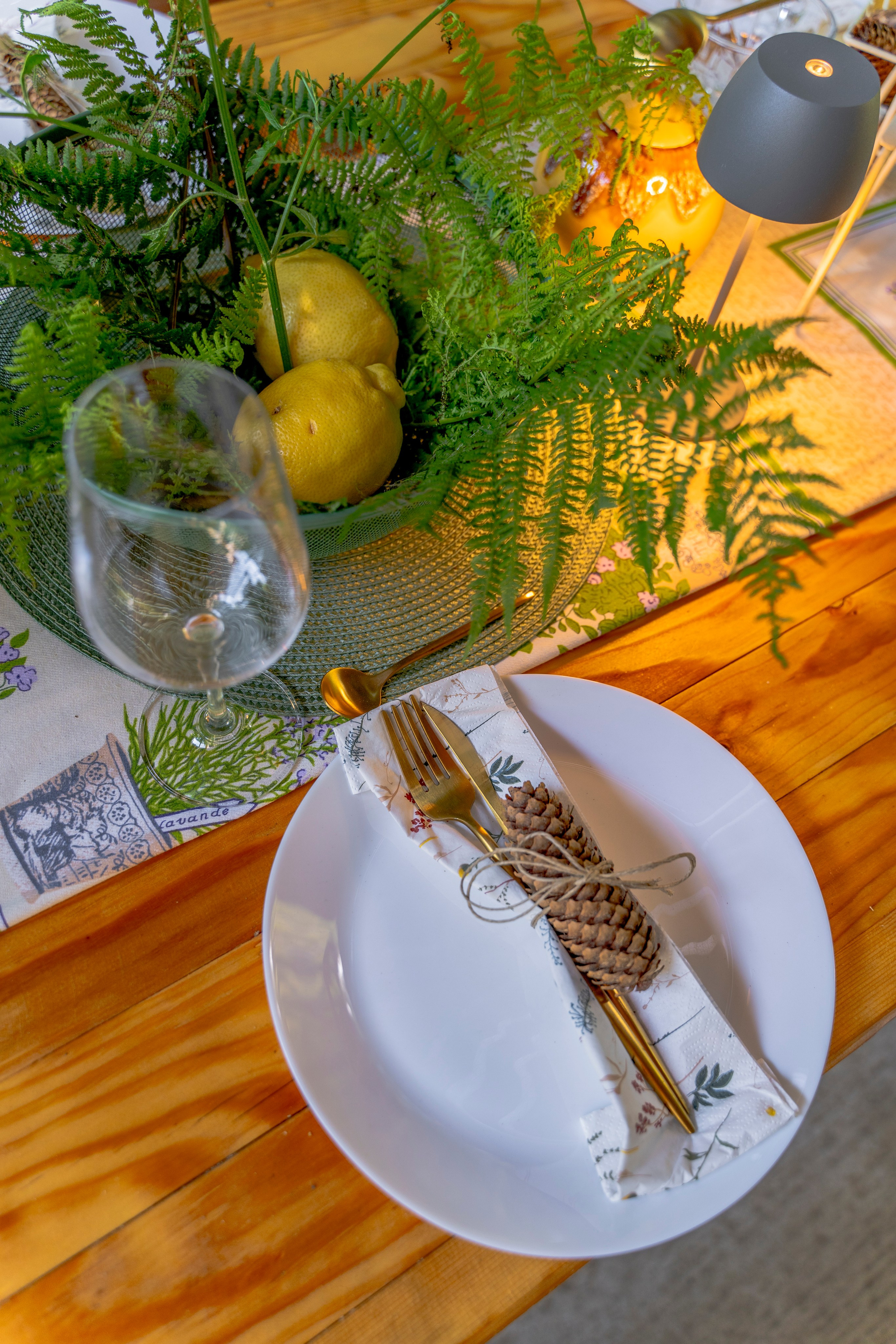 Viktorija Chalet. Photographer Liana Sudets Serbia Kopaonik Brzece Brus