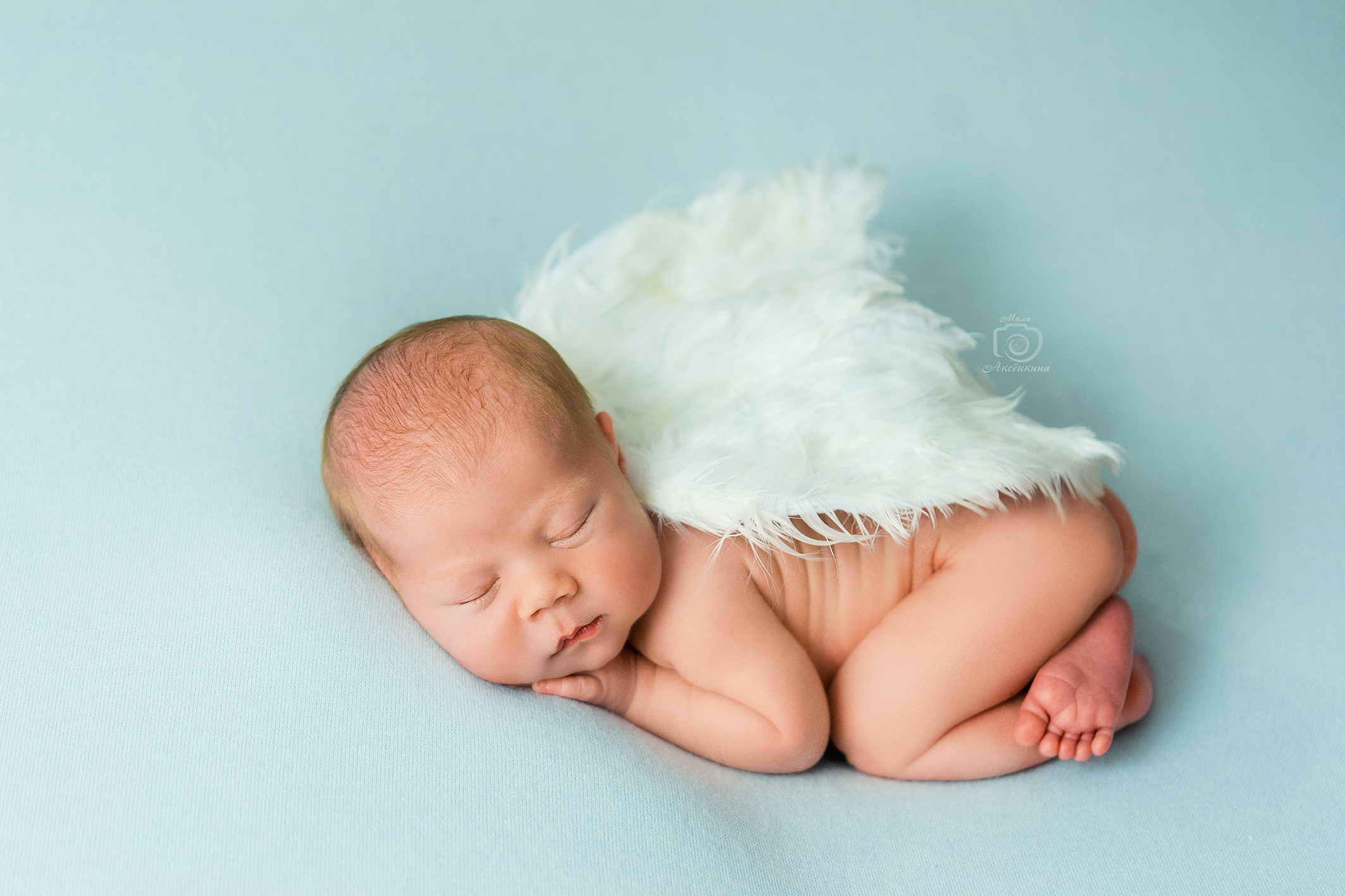 Портфолио новорожденных. Фотограф в Нефтеюганске Мила Аксёнкина