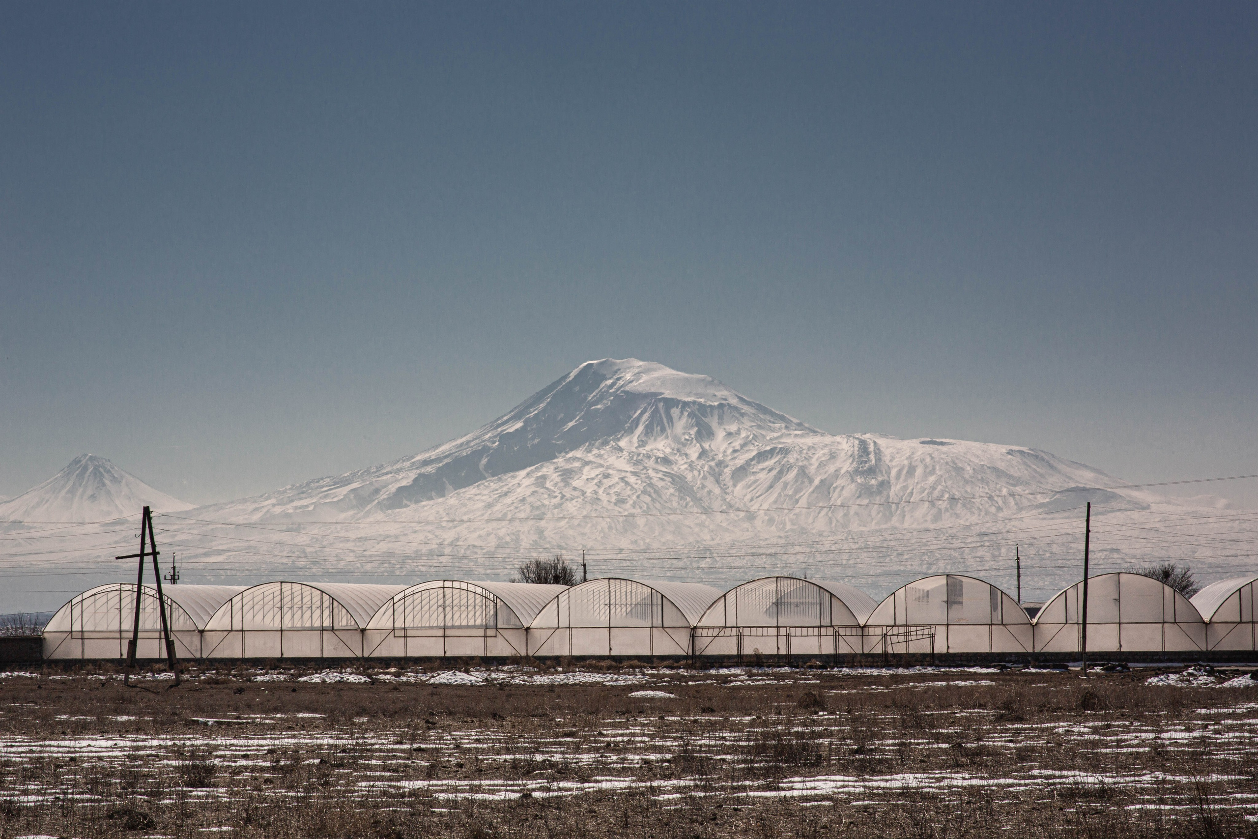 Армения. Zenizza