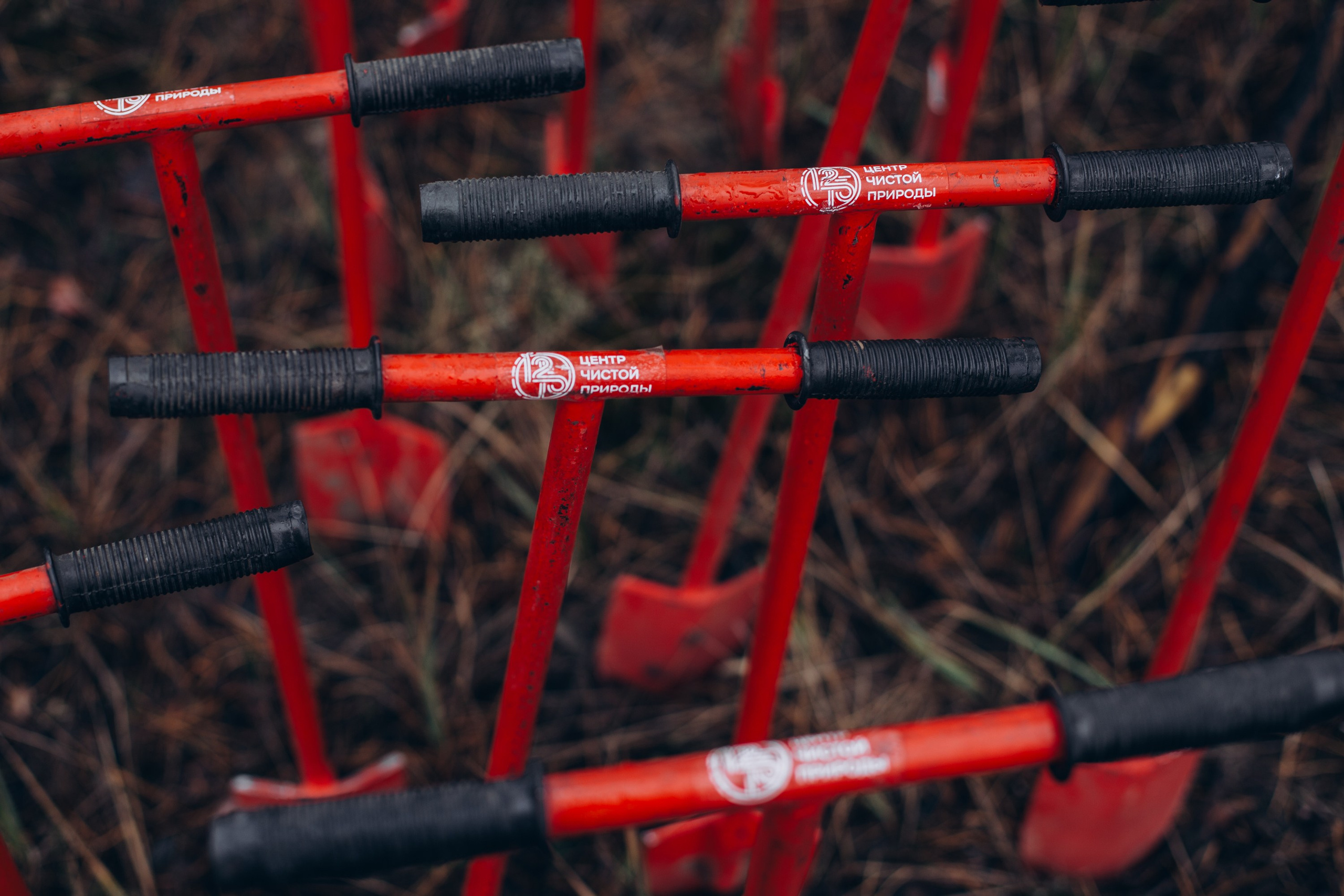 Посадка деревьев в Усть-Донецком районе. Артём Панфилов — Свадебный и семейный фотограф в Ростове-на-Дону