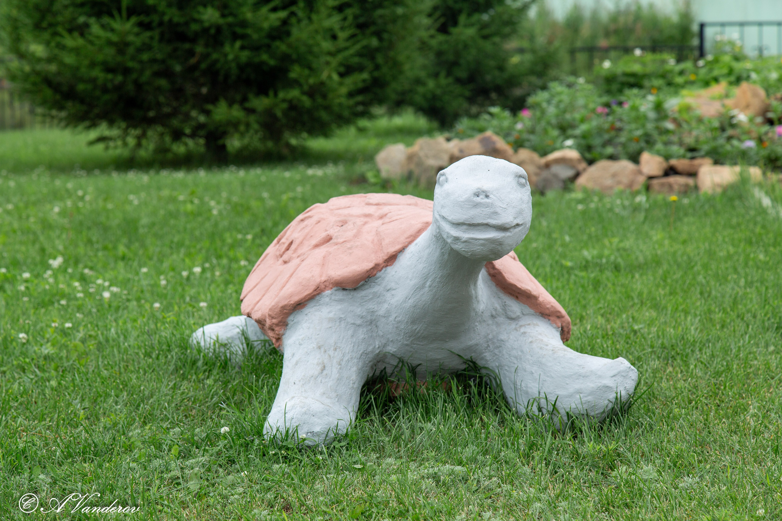 Калачинск 07.07.2024. Фотограф Омск | Александр Вандеров