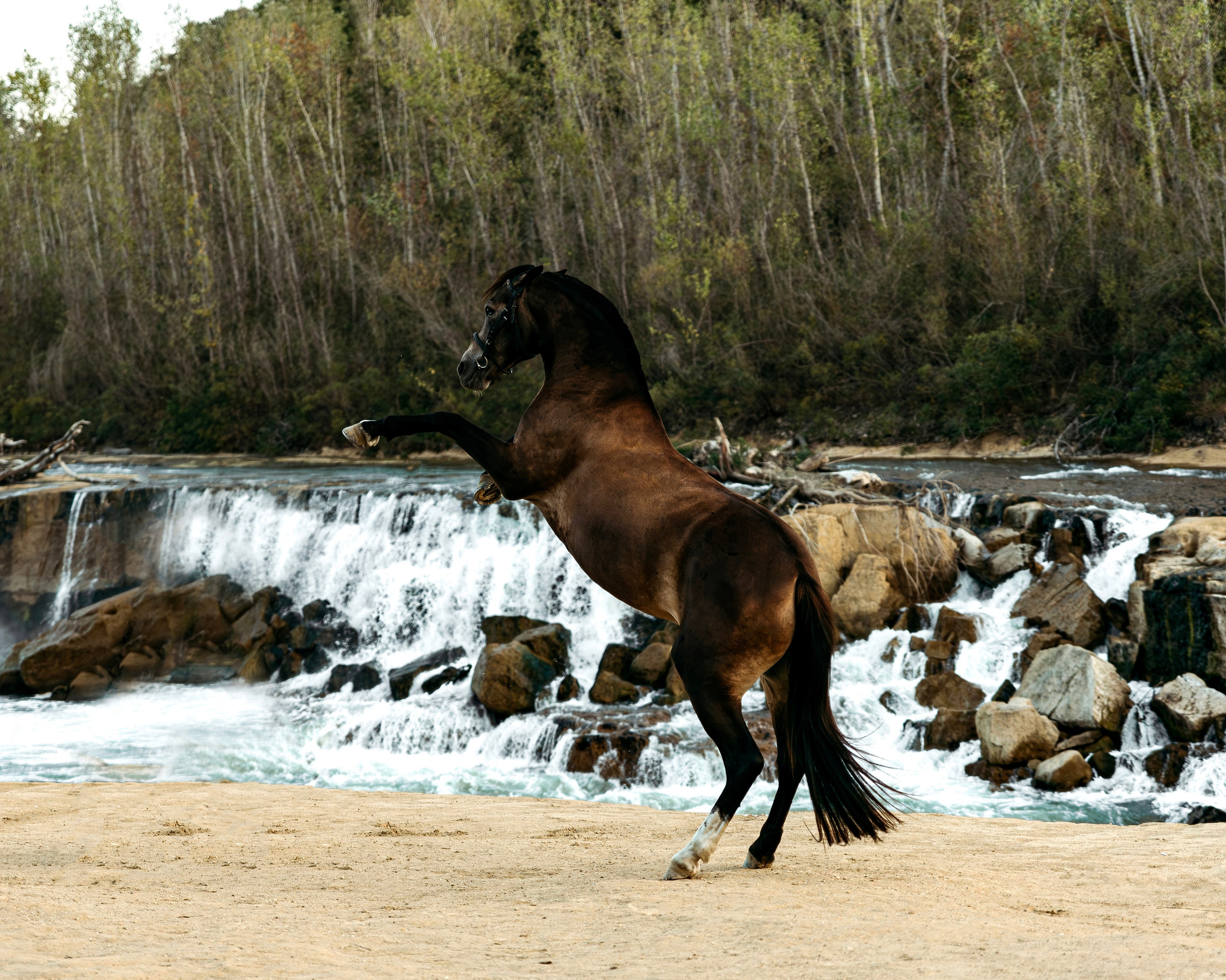 Фотопроект «Водопады» г. Белореченск. Семейный и конный фотограф в Краснодарском крае и Адыгее