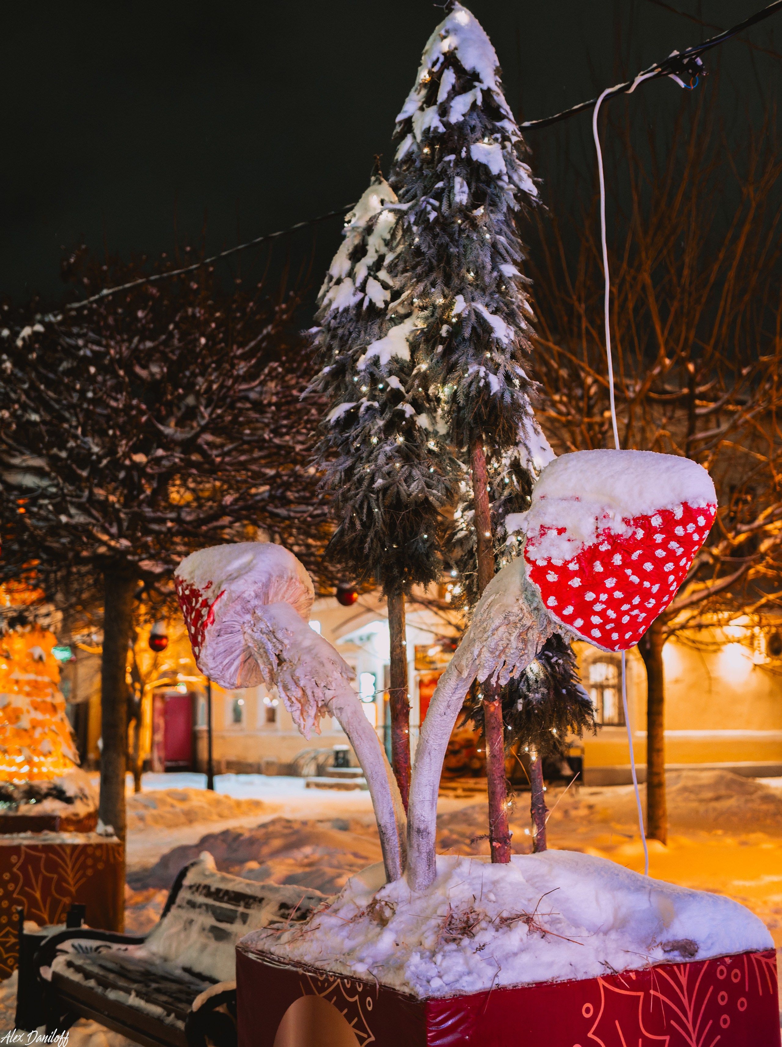 Елки 2025. Муром-Инфо. Новости культуры, образования, спорта в городе Муром