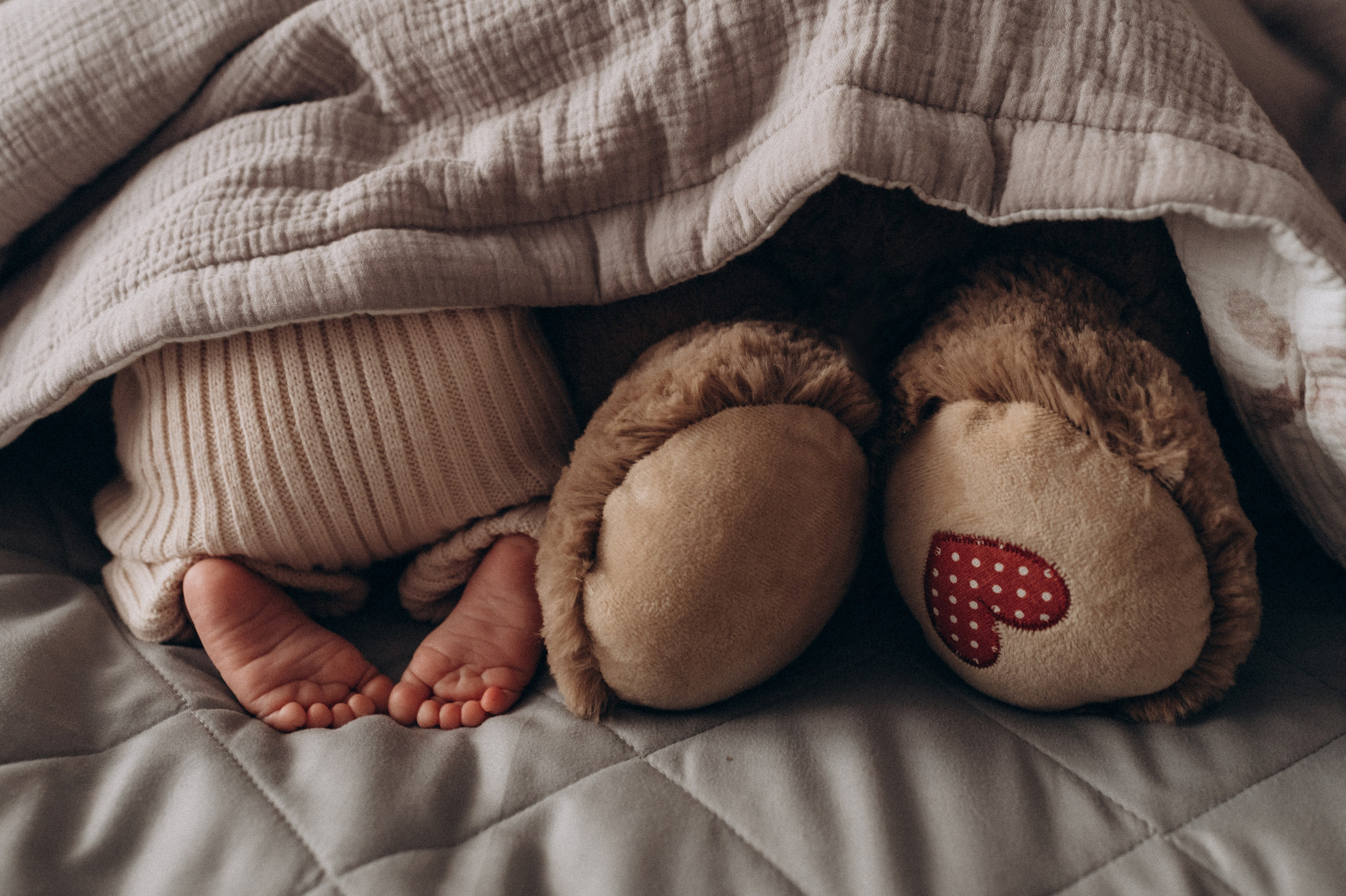 Тариф «Лайф» с элементами ньюборн. Фотограф новорождённых Абакан Марина Дейнюк