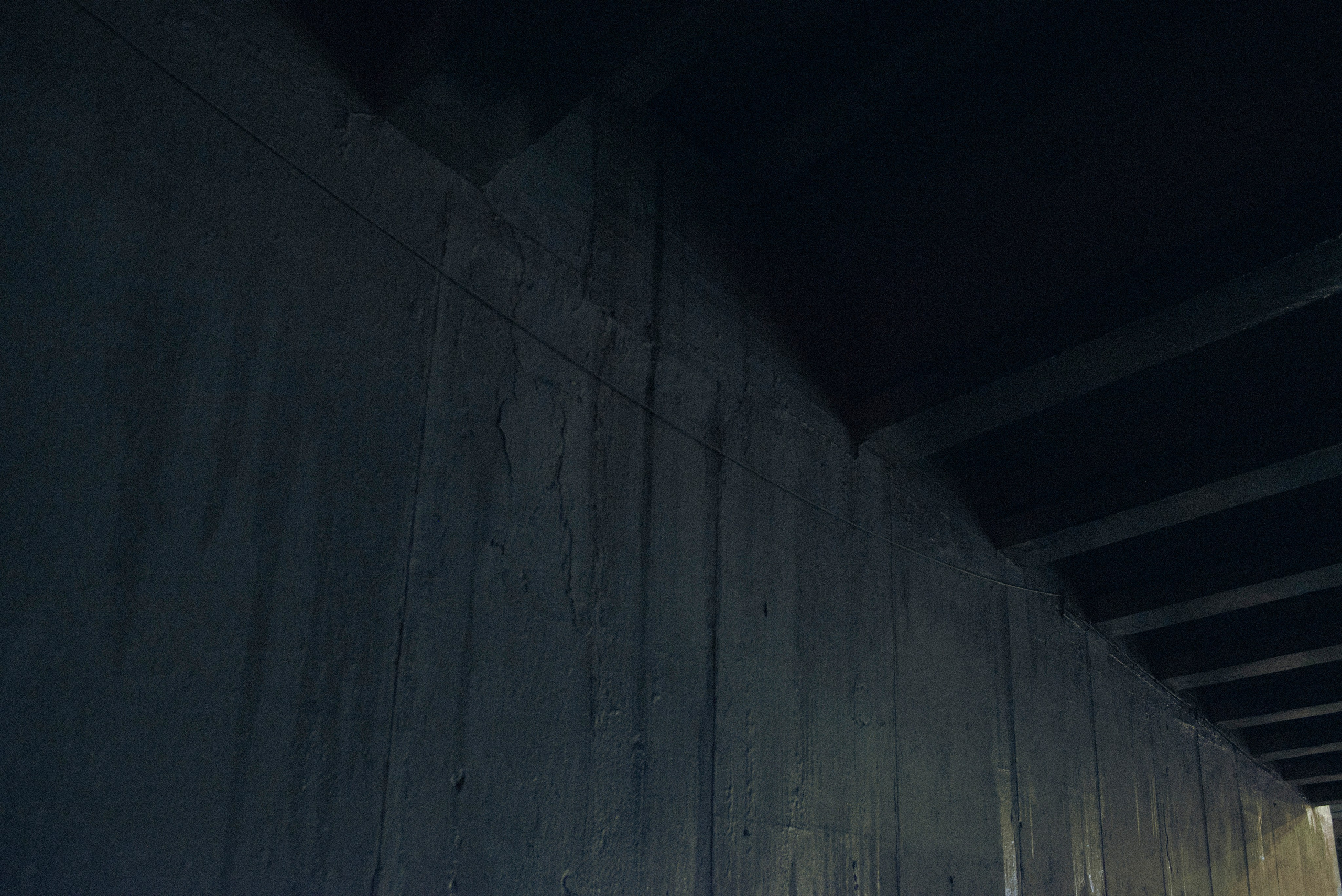 Разное неважное. Фотограф в Москве Алейникова Евгения