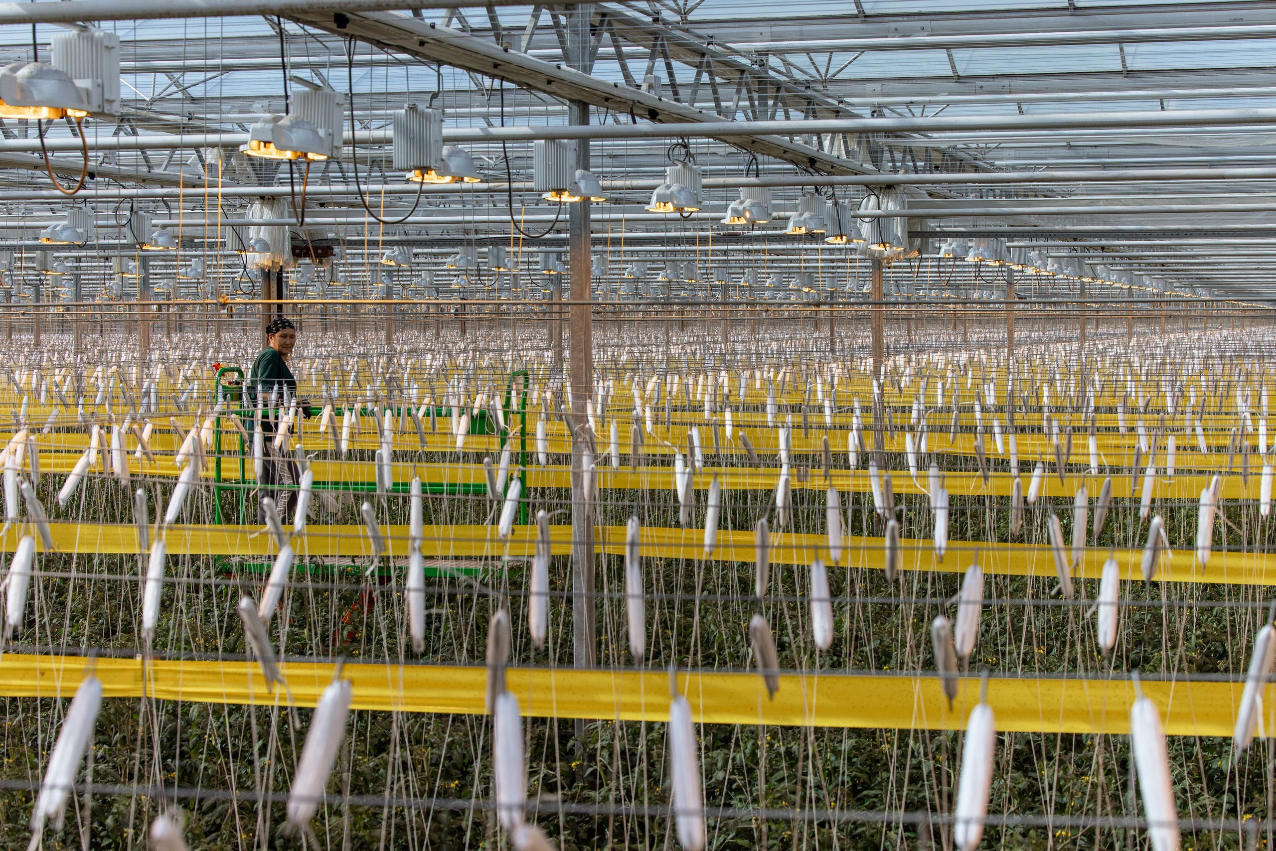 Производство. Фотограф Николай Петрушкин | Ставрополь, Москва