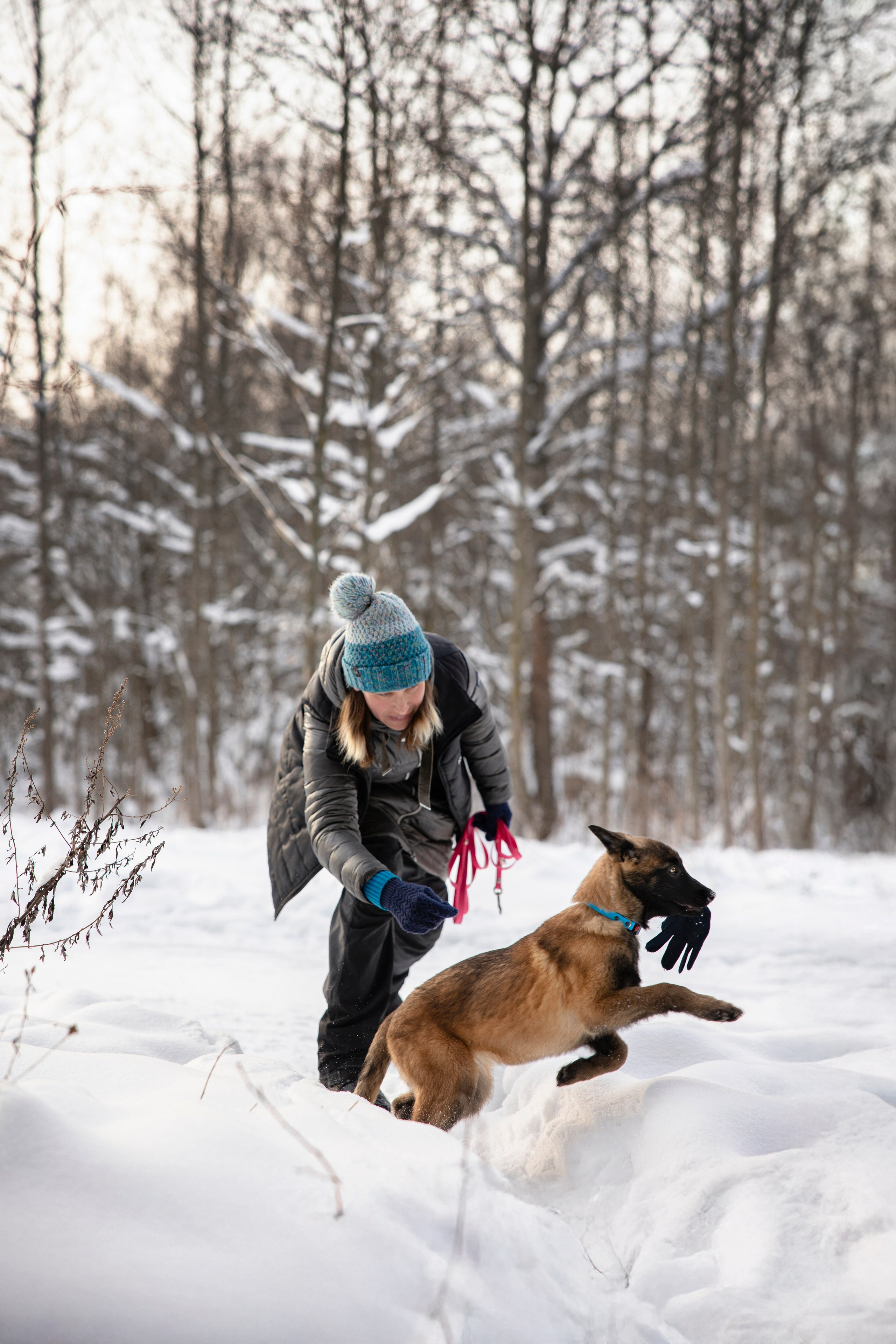 Бэлла и Панда. Анастасия Белаш